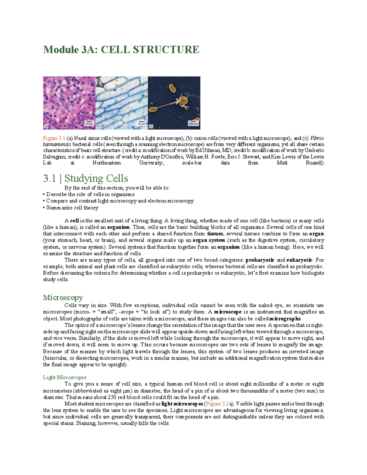 Module 3A- Cell Structure - Module 3A: CELL STRUCTURE Figure 3 (a ...