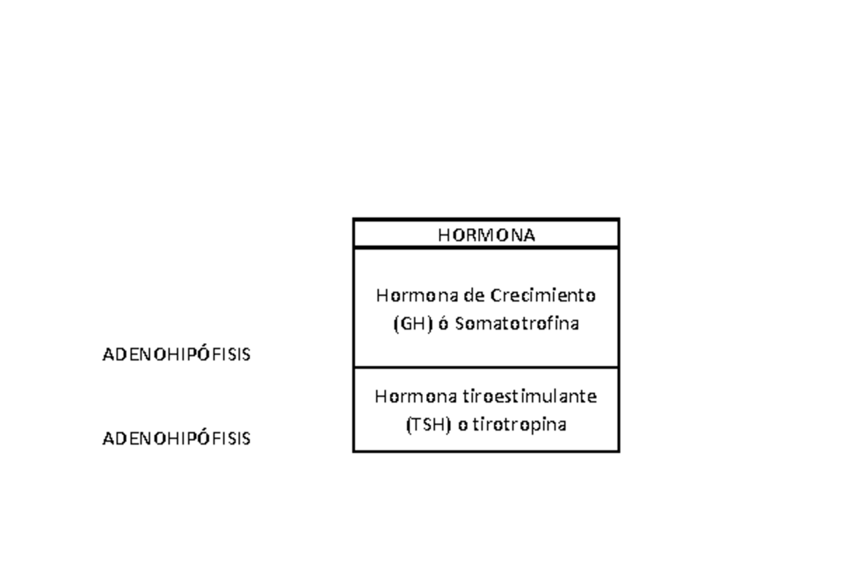 Cuadro Adeno Y Neurohipófisis - HORMONA ADENOHIPÓFISIS Hormona De ...