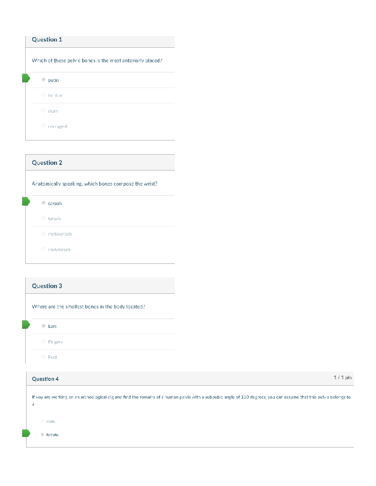 Anatomy Week 5 Quiz Skeletal System SCI 220 Studocu