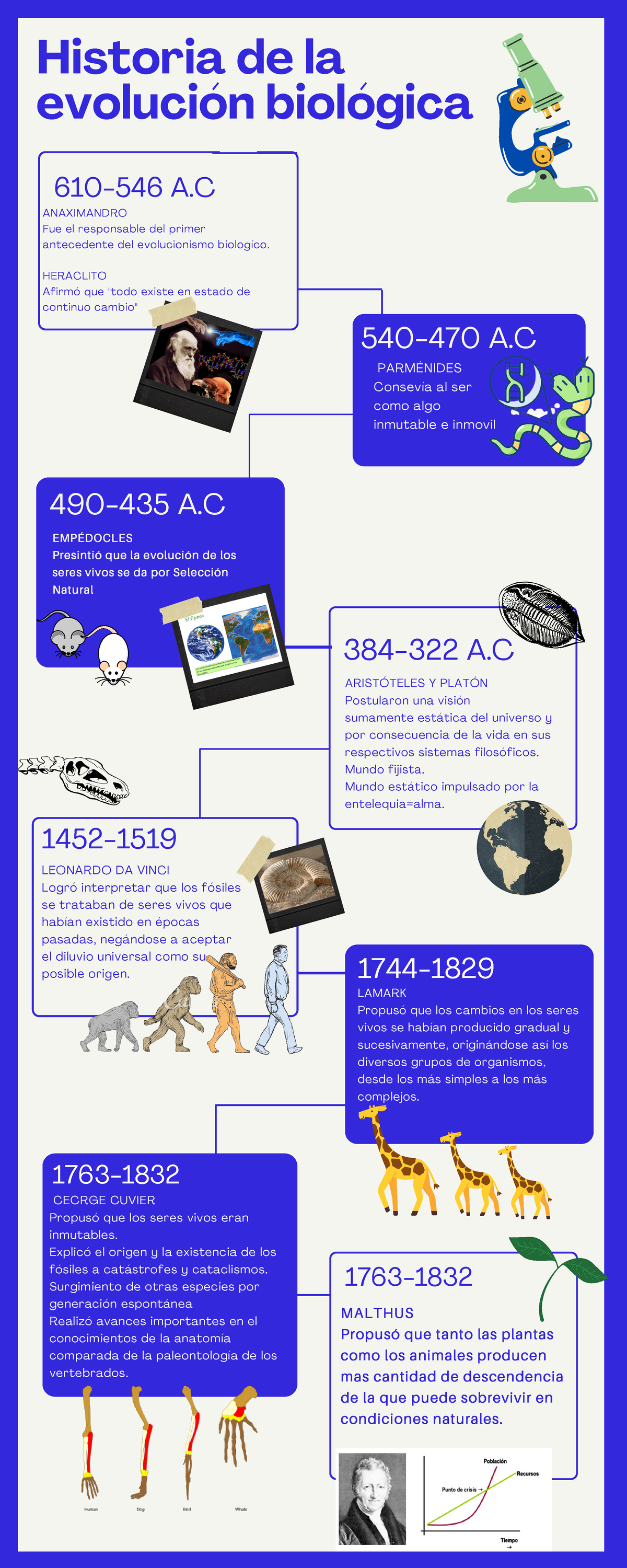 Historia DE LA Evolucion DE LA Biología - 610-546 A PARMÉNIDES Consevía ...