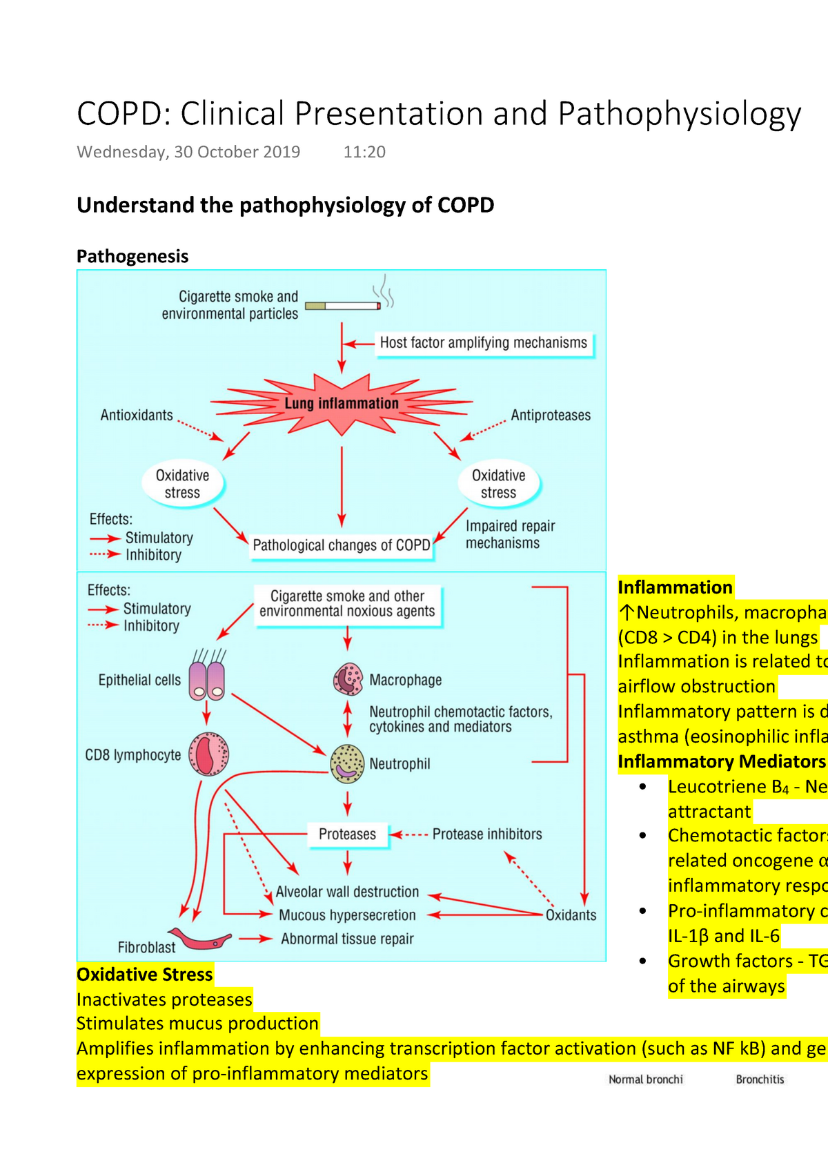 COPD Clinical Presentation And Pathophysiology Understand The Pathophysiology Of COPD