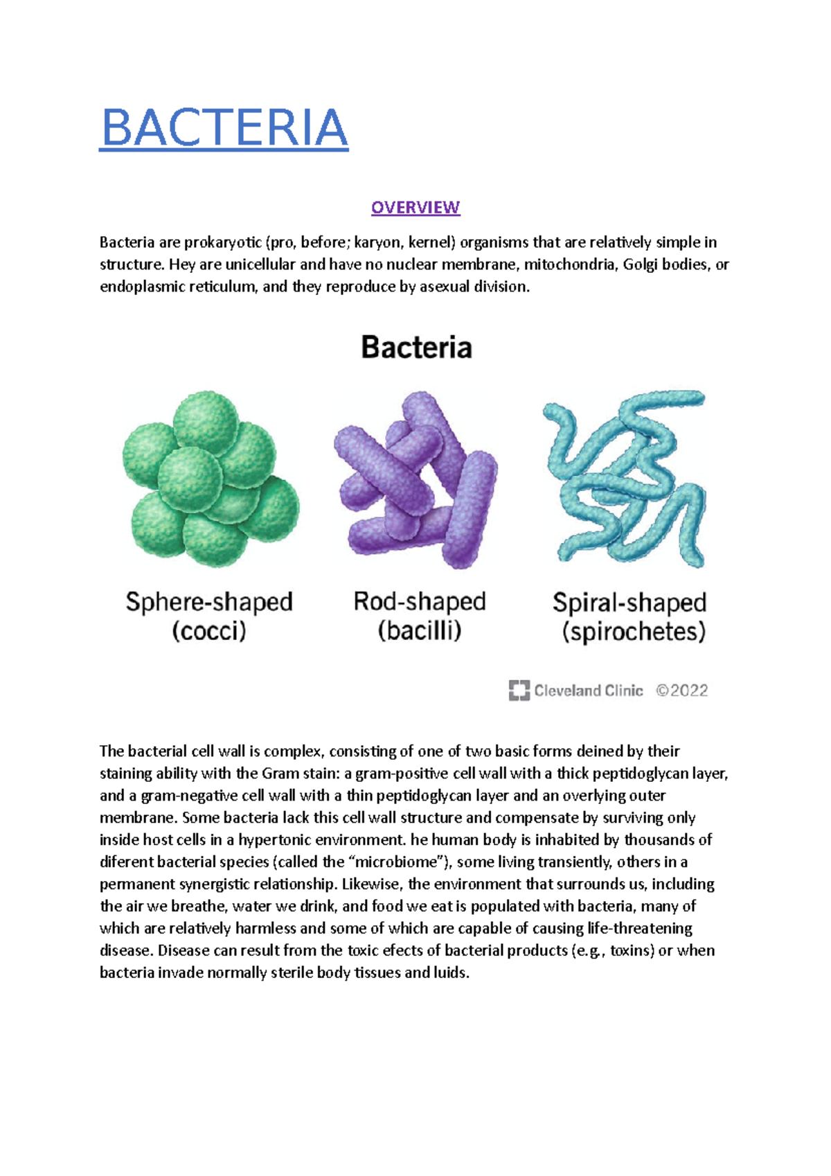 Bacteria - BACTERIA OVERVIEW Bacteria are prokaryotic (pro, before ...