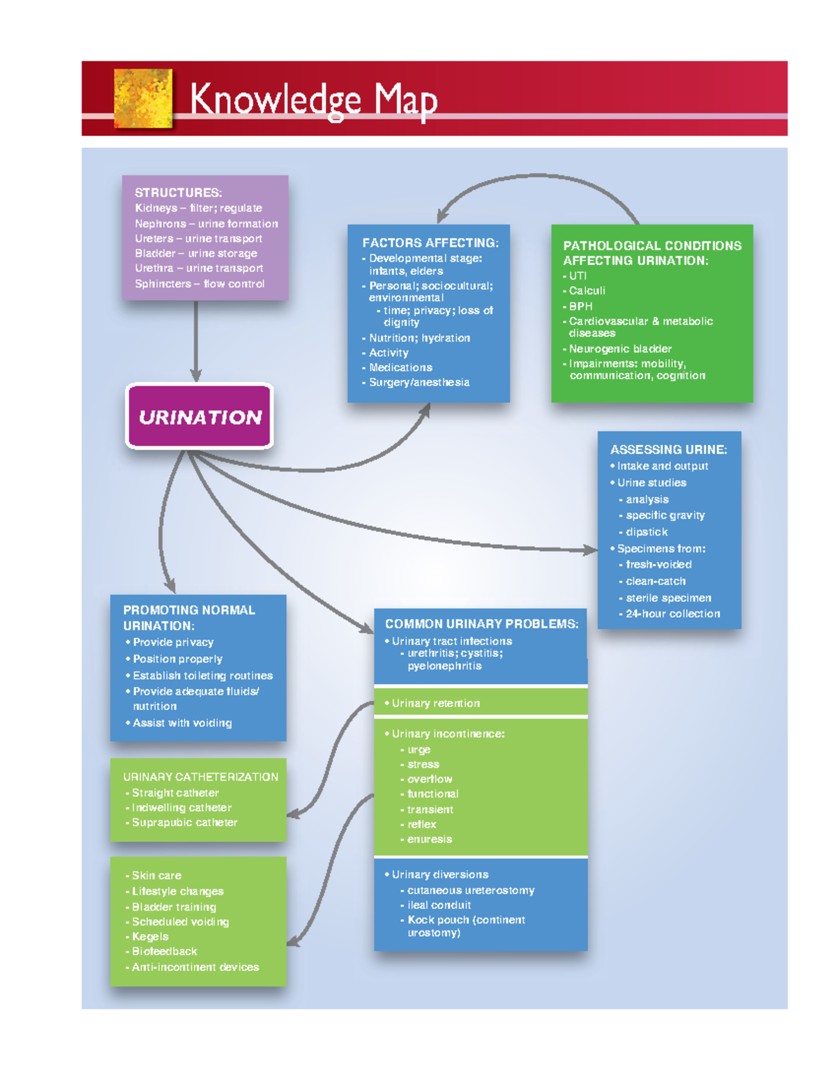 urinary-knowledge-map-knowledge-map-pathological-conditions-affecting