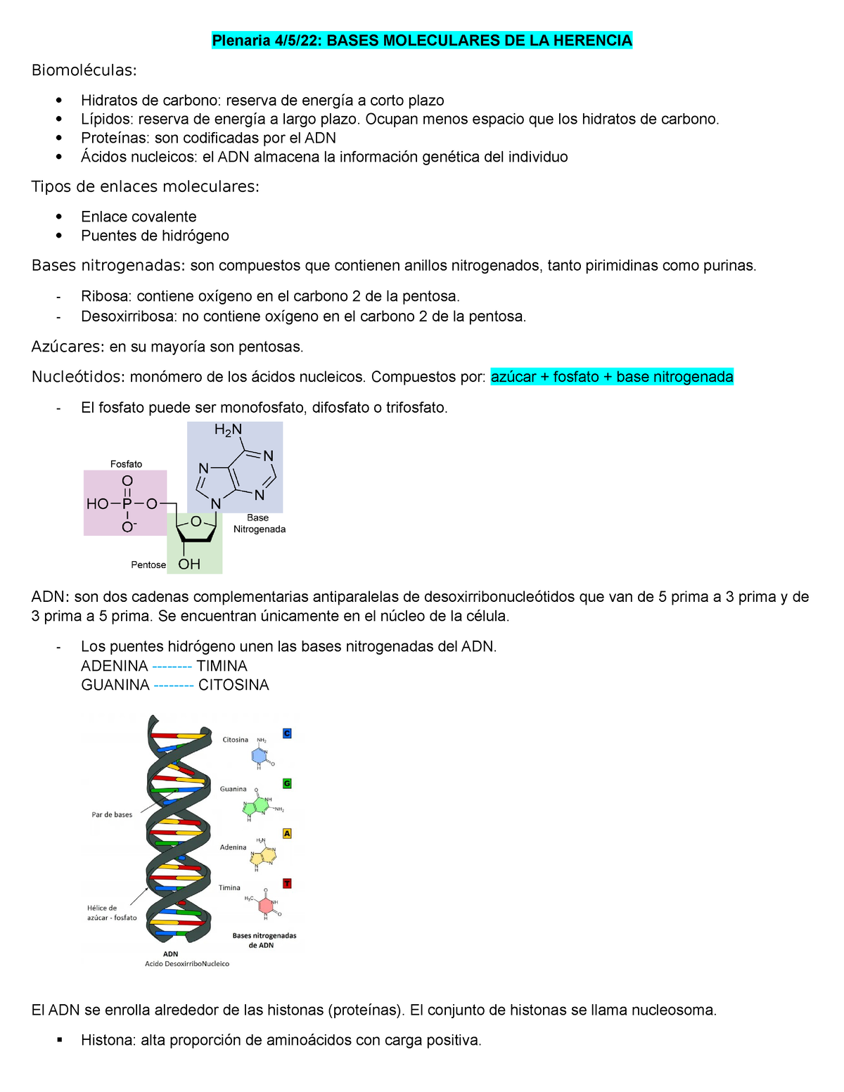 Bases Moleculares De La Herencia - Plenaria 4/5/22: BASES MOLECULARES ...