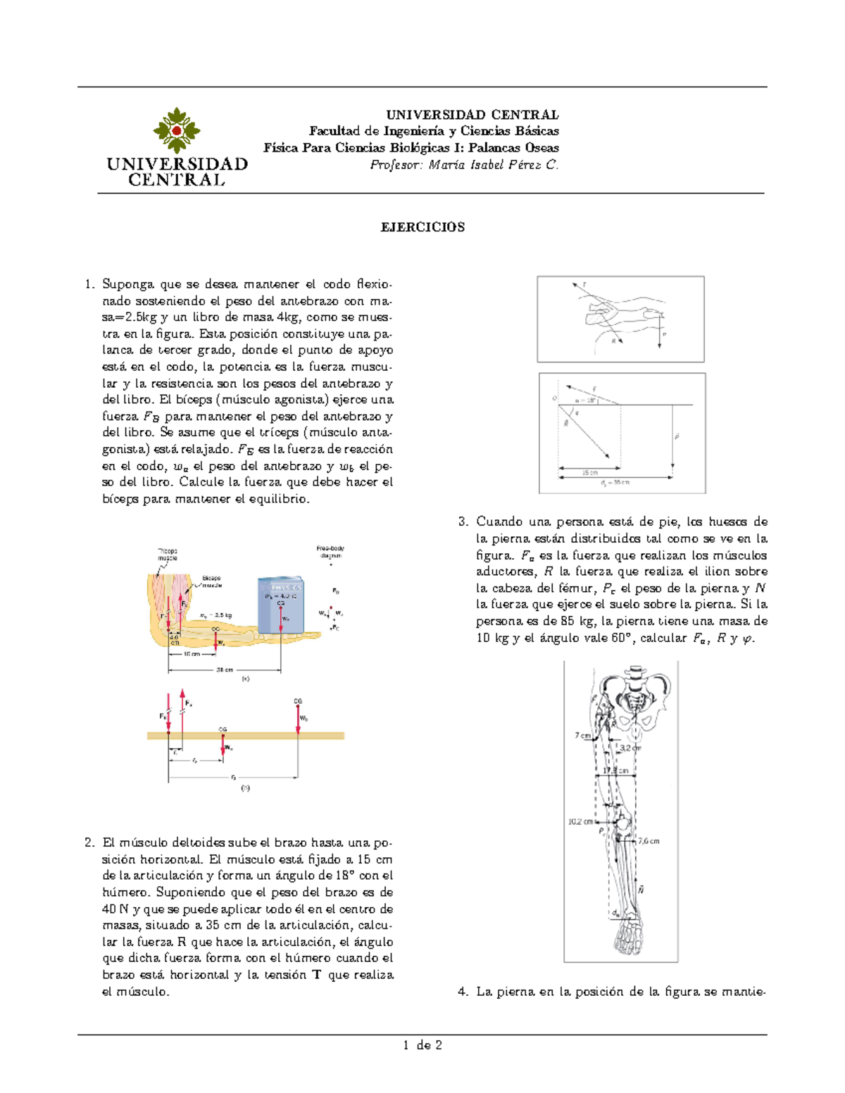 Taller Palancas Oseas - UNIVERSIDAD CENTRAL Facultad De Ingenier ́ıa Y ...