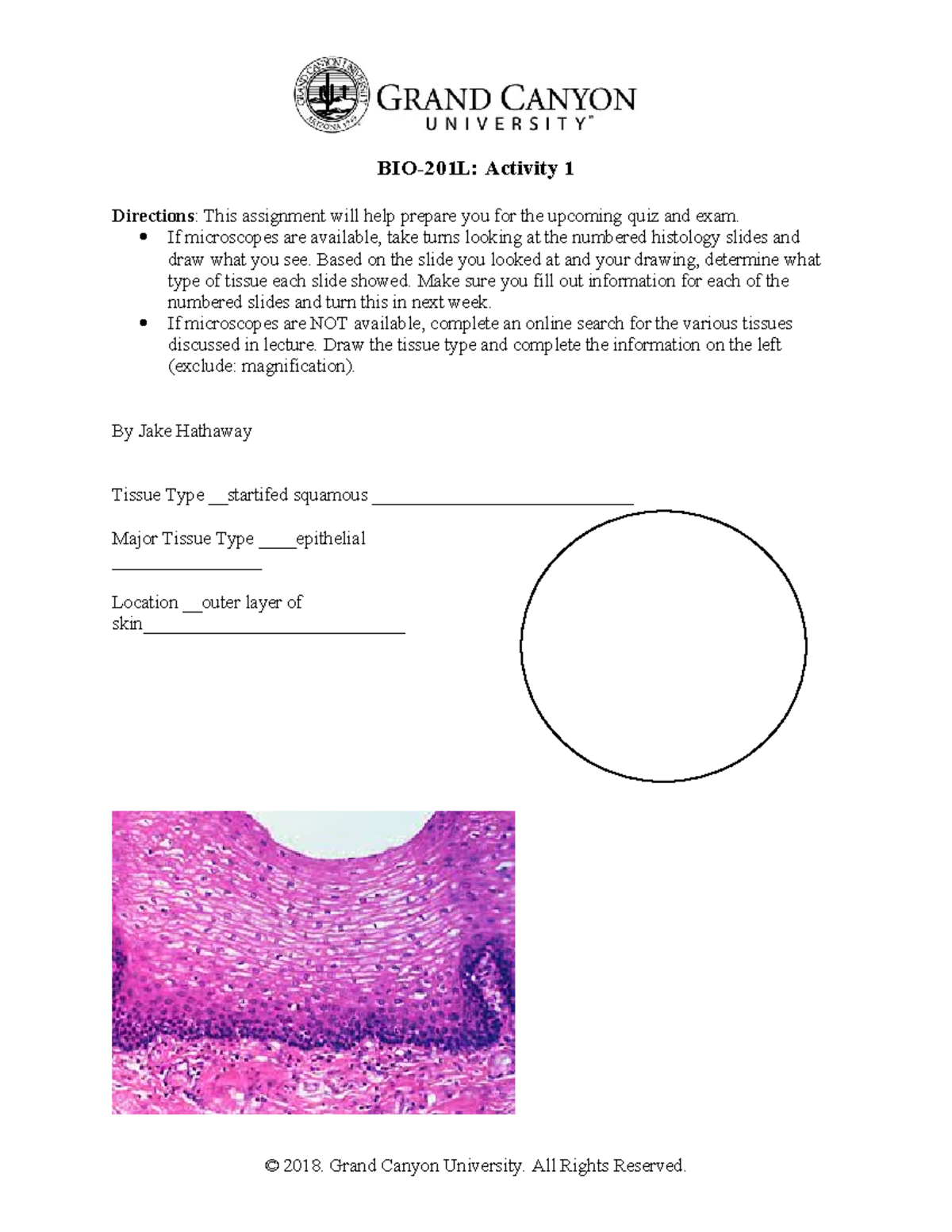 Bio lab cell pictures - it helps - BIO-201L: Activity 1 Directions ...