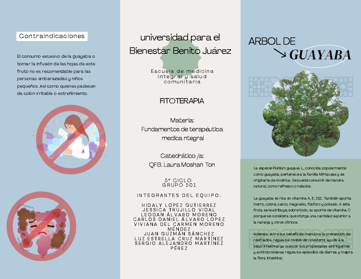 PLANTAS MEDICINALES (HOJA DE GUAYABA) ARBOL DE GUAYABA