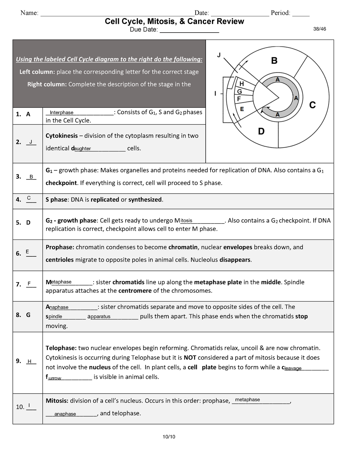 Cell cycle, Mitosis and Cancer review - SCIBUS 20 - Science and Throughout Cell Cycle And Mitosis Worksheet