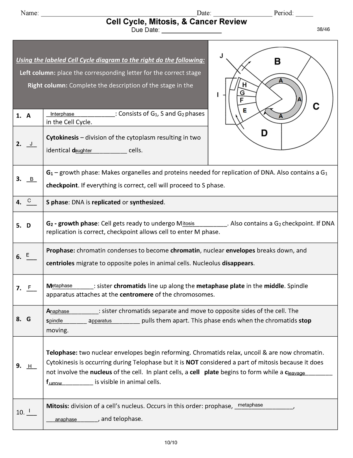 Cell Cycle Mitosis And Cancer Review Name