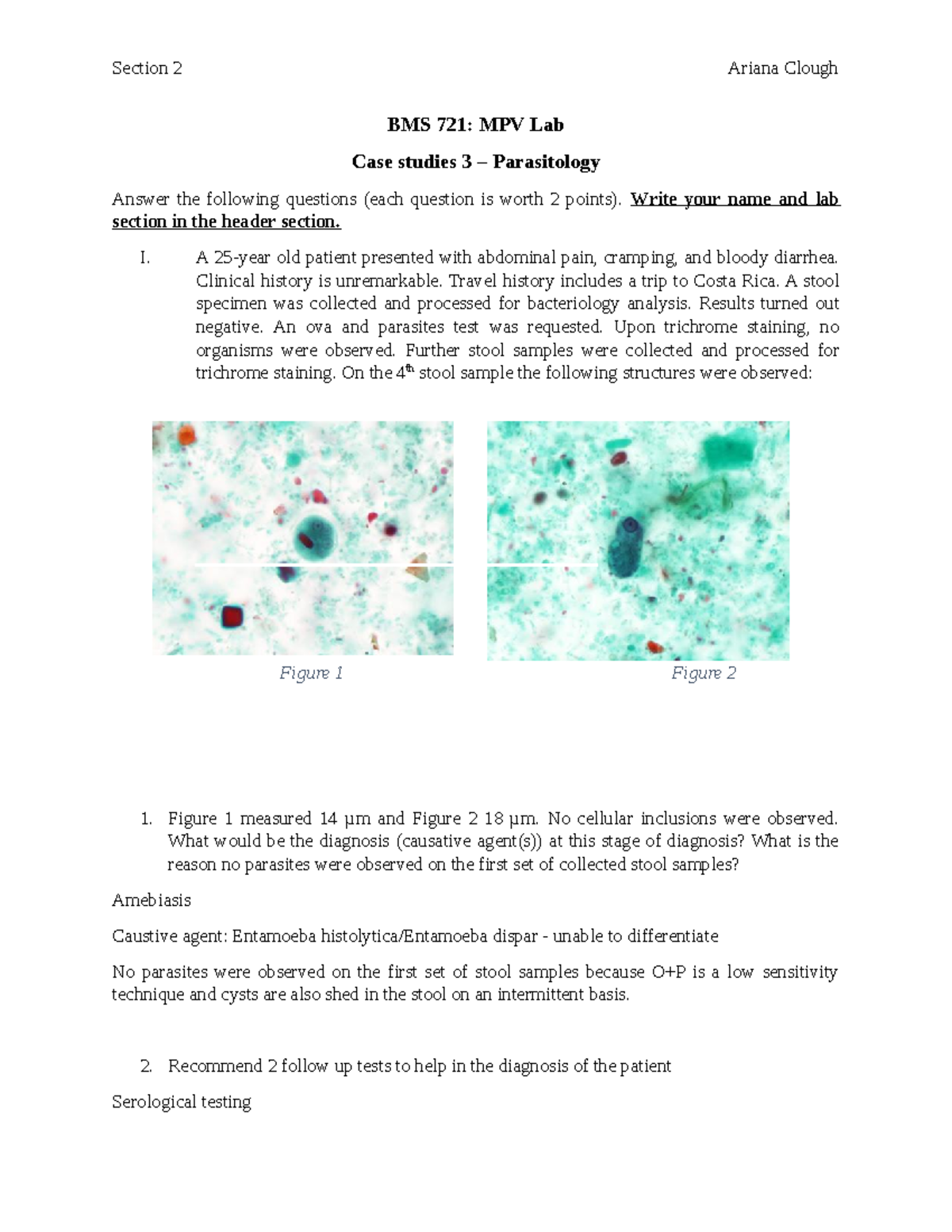 medical parasitology essay questions