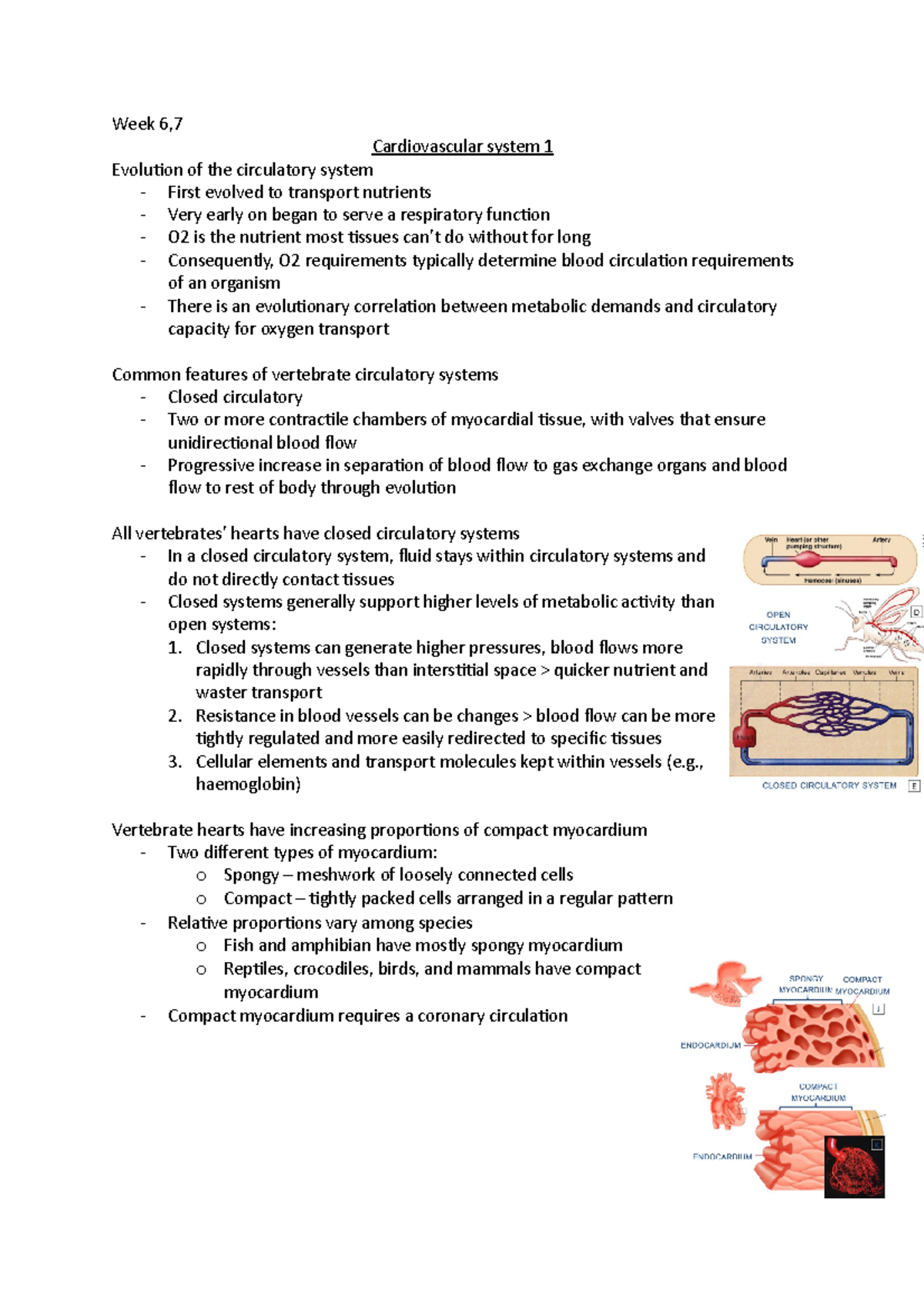 lectures 6 and 7 - Week 6, Cardiovascular system 1 Evolution of the ...