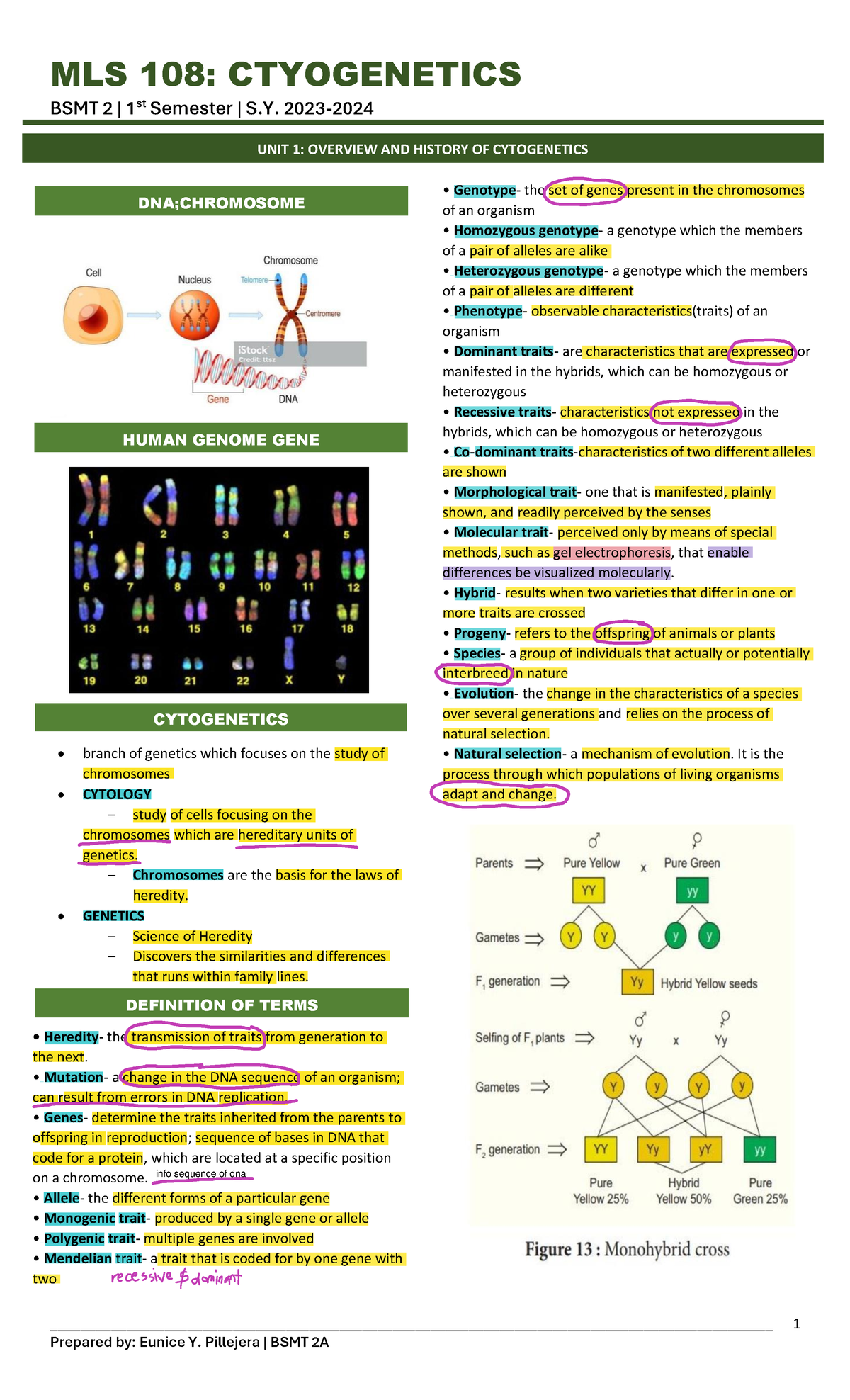 Cyto Unit 1 Transes - Qqw - MLS 108: CTYOGENETICS BSMT 2 | 1 St ...