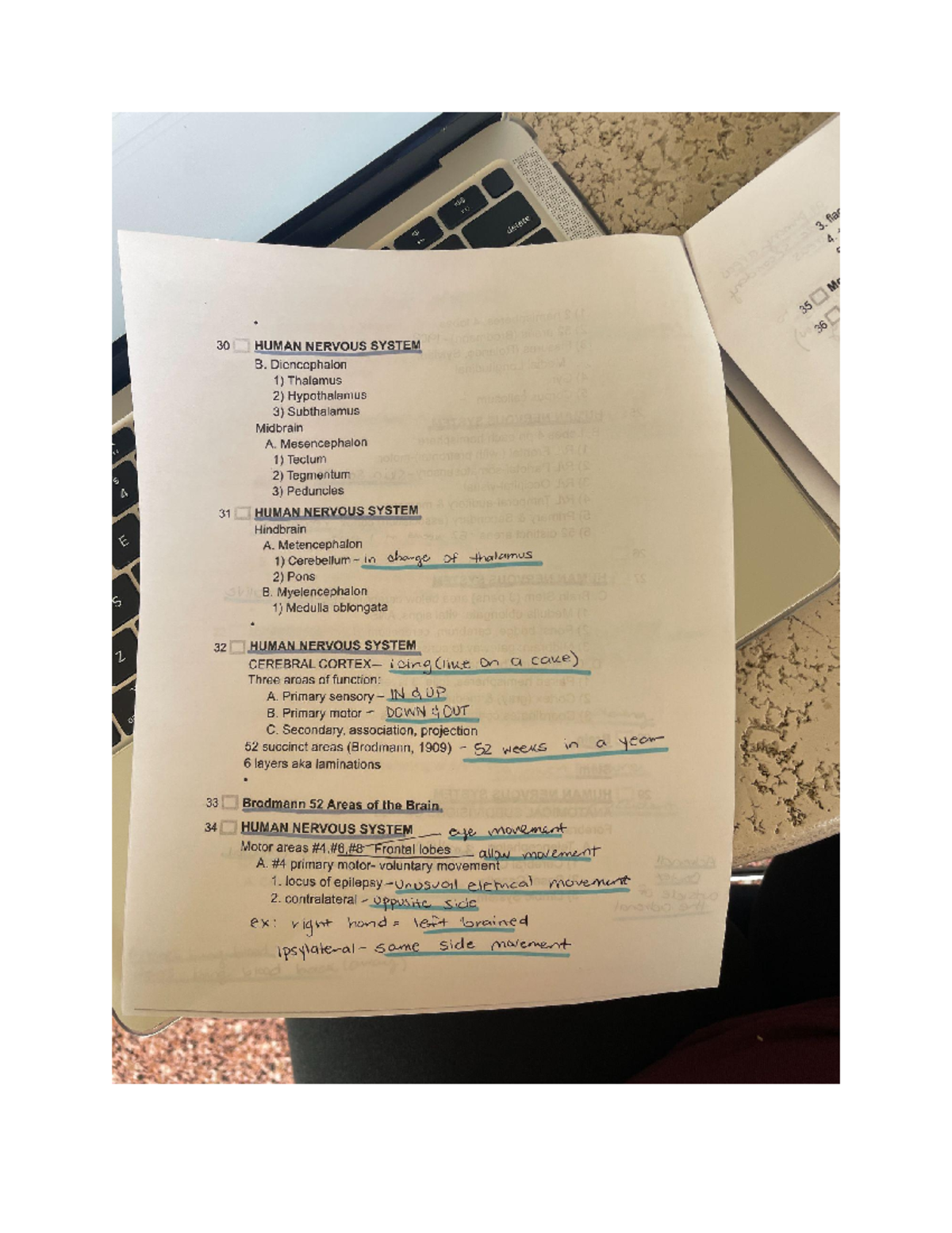Untitled document - Structure and Function of the Human Nervous System ...