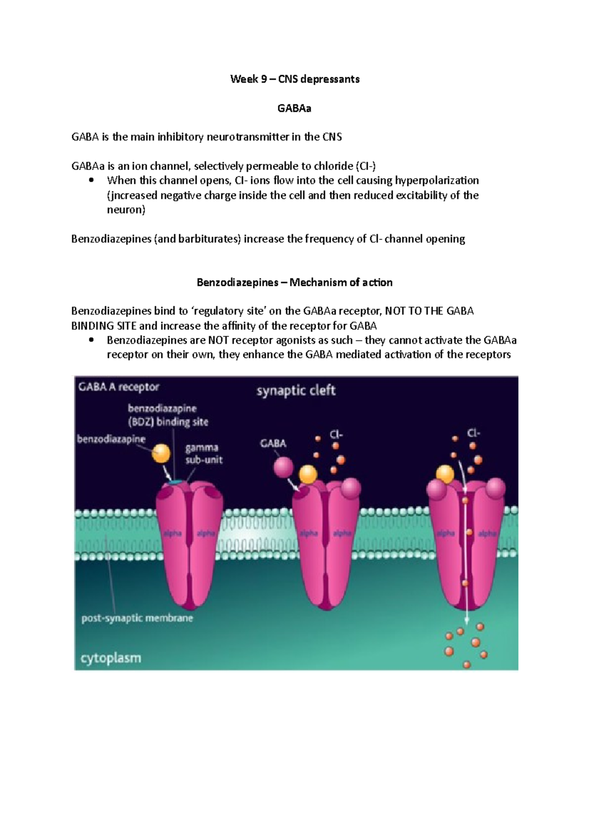 Week 9 – CNS Depressants - Week 9 – CNS Depressants GABAa GABA Is The ...