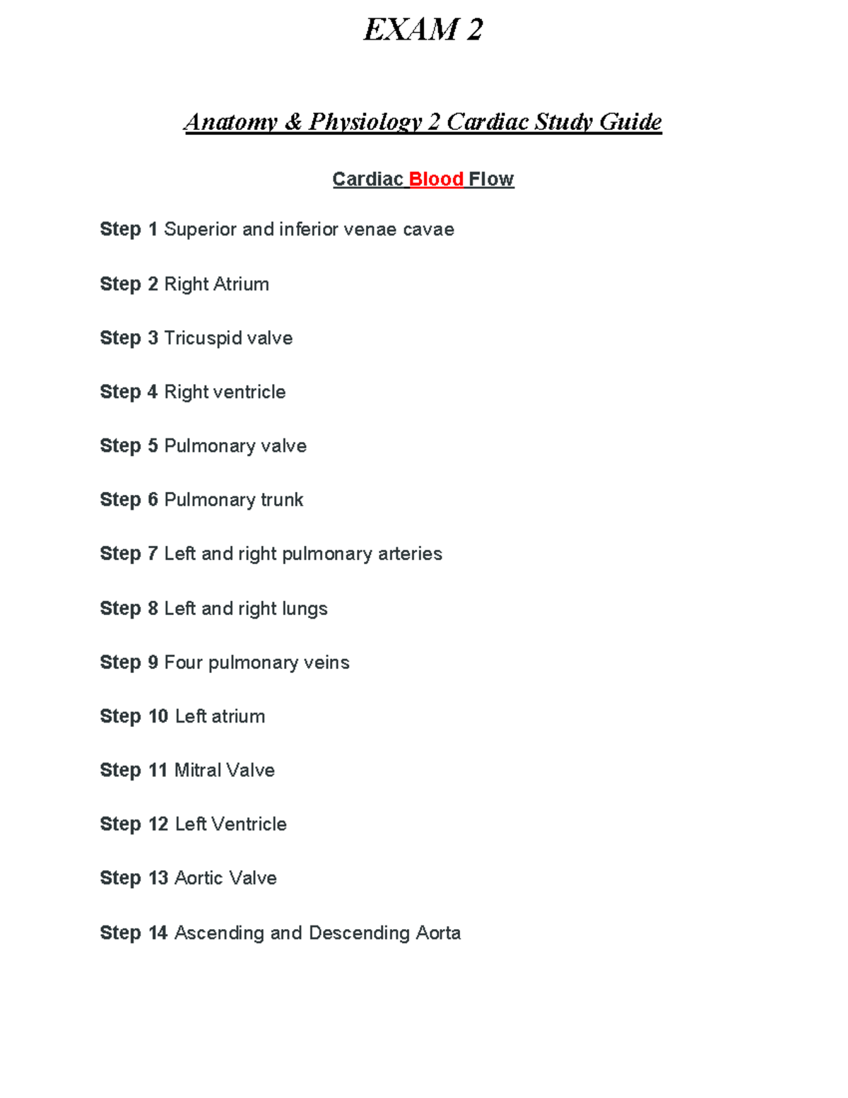 Cardiac System - Anatomy & Physiology 2 Cardiac Study Guide Cardiac ...