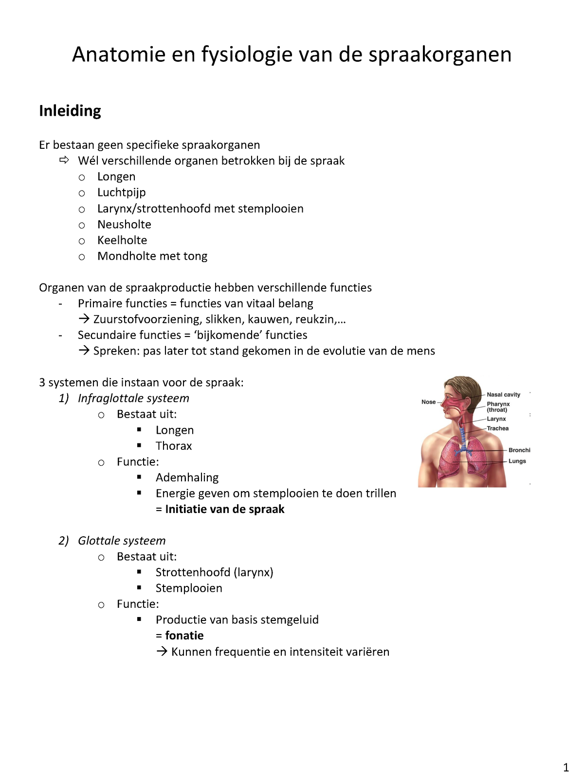 Deel 1 Anatomie Spraak Sv Anatomie En Fysiologie Van De Spraakorganen