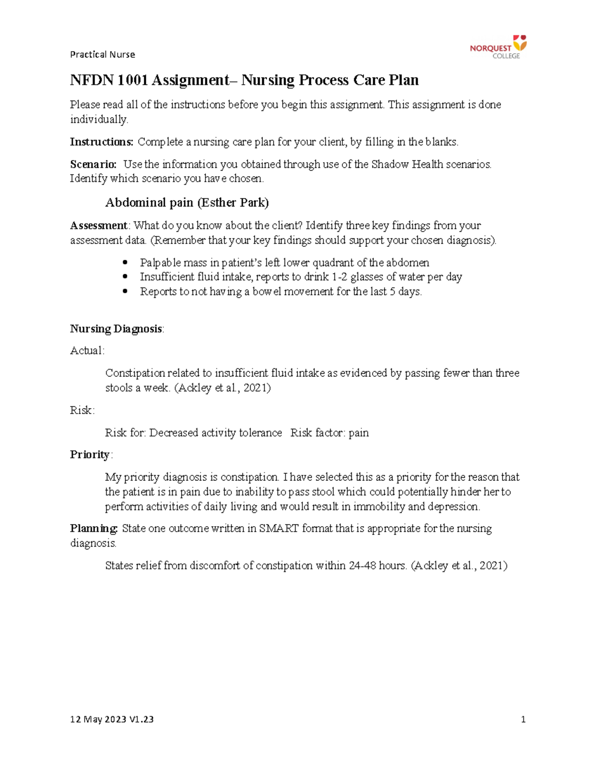 NFDN 1001 Nursing Process Care Plan Template V1 - Practical Nurse NFDN ...