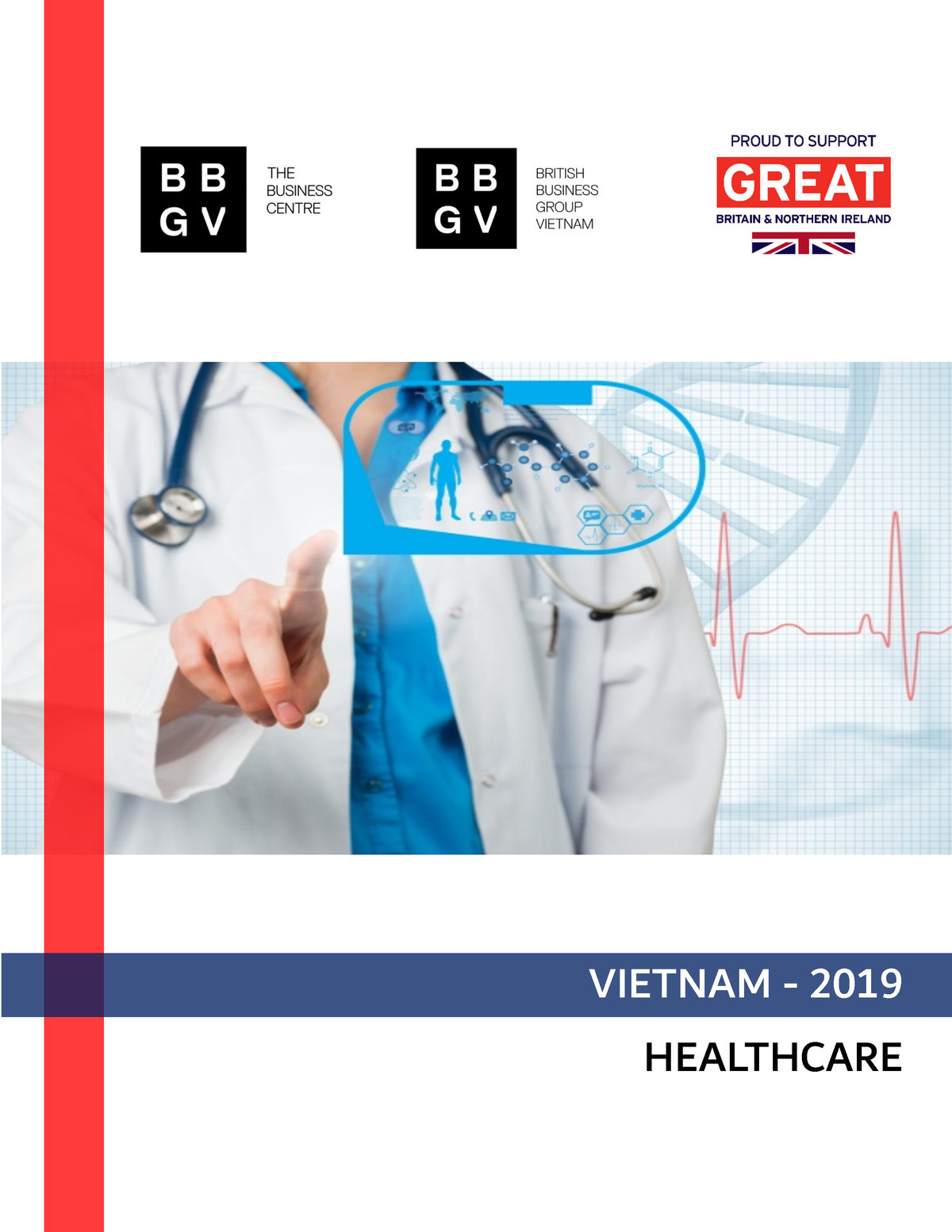 sector-briefing-healthcare-in-vietnam-2019-economics-neu-studocu