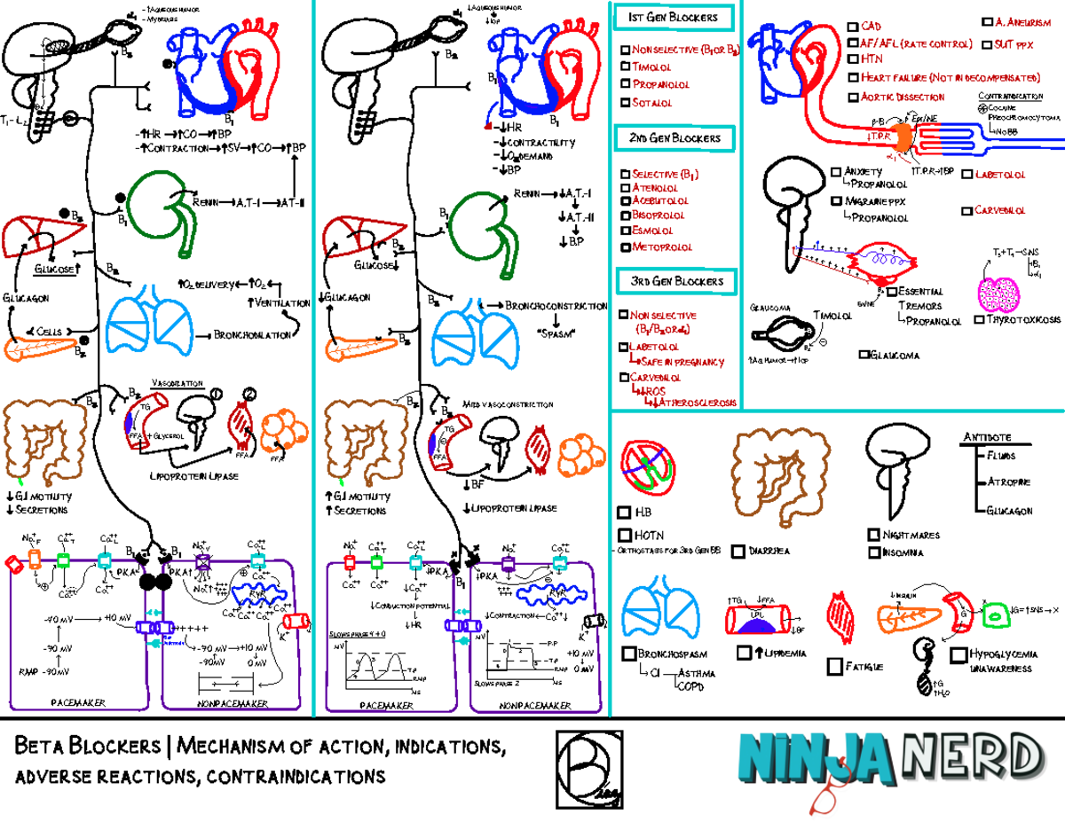 Cardiovascular Pharmacology] 06 Beta Blockers - Key - Antidote 1st Gen ...