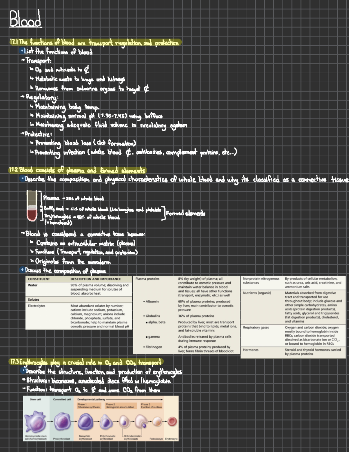 Midterm 2 study notes Part B - & Blood 1 The functions of blood are ...