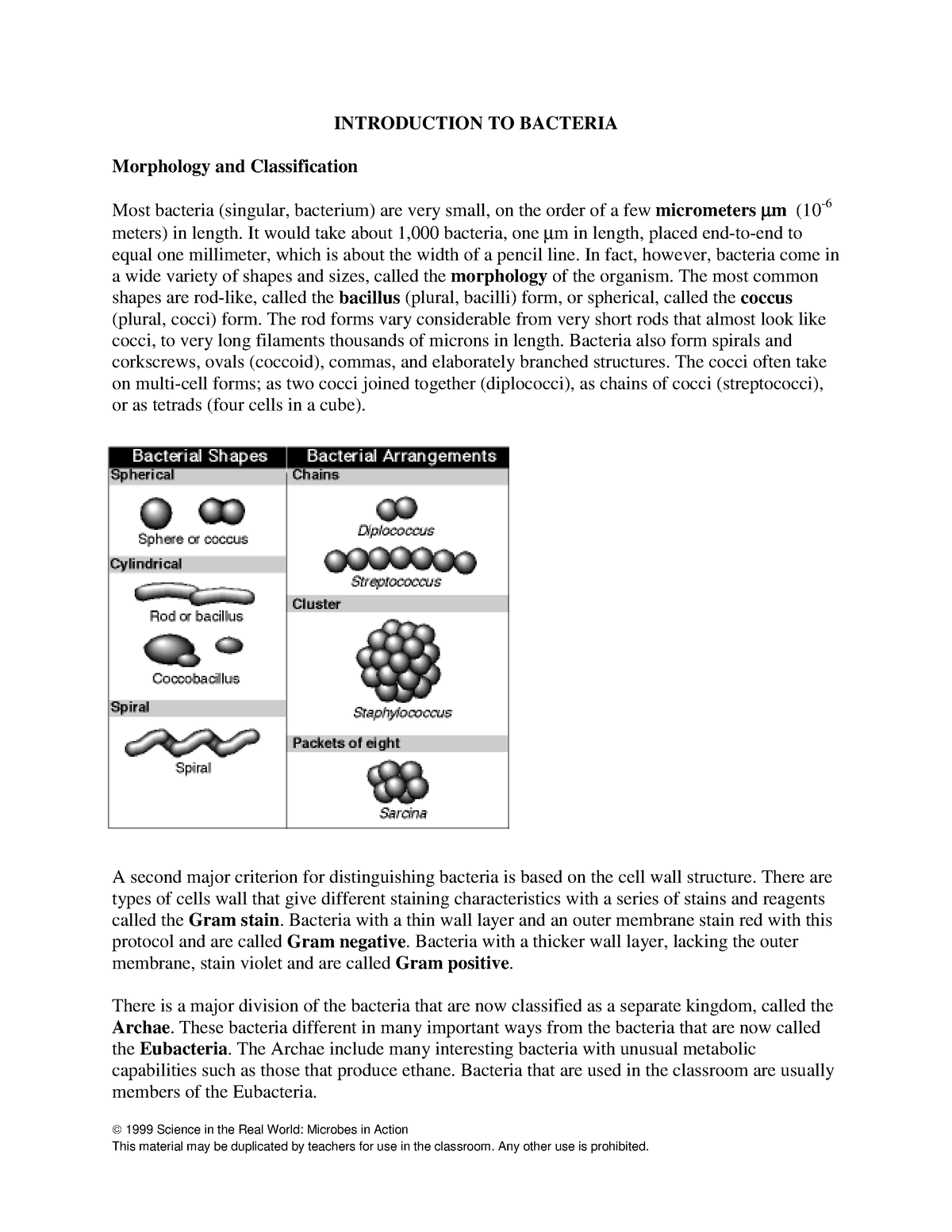 Intro To Bacteria - BIO 4011 - UC - Studocu