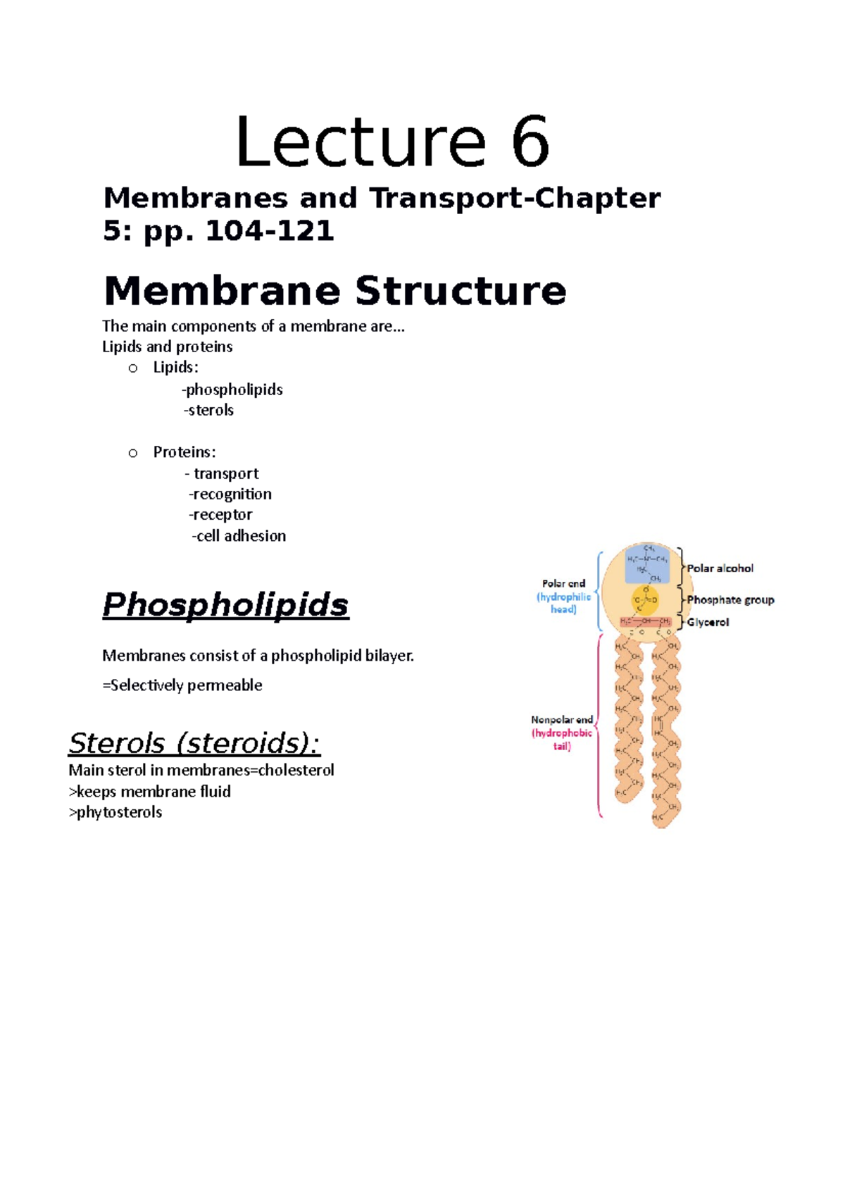 Membranes and Transport-Chapter 5: pp. 104-121 - 144 - SUN - Studocu