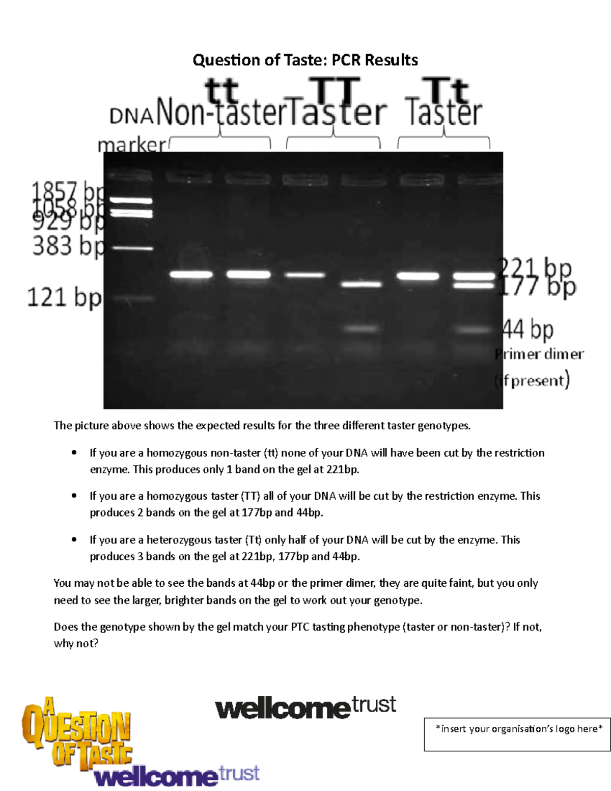 PCR results explanation sheet - Question of Taste: PCR Results The ...