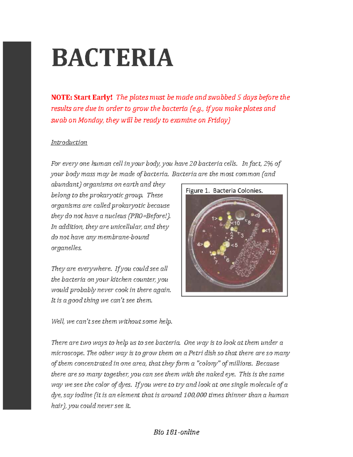 Bacteria lab lab BACTERIA NOTE Start Early! The plates must be made and swabbed 5 days