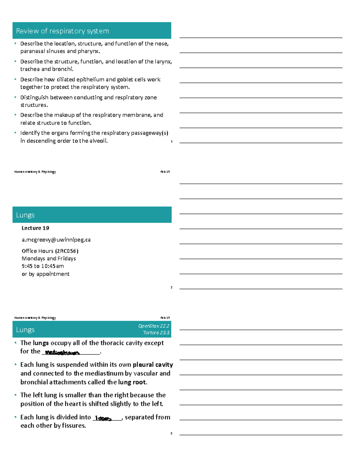 Anatomy visual data 3