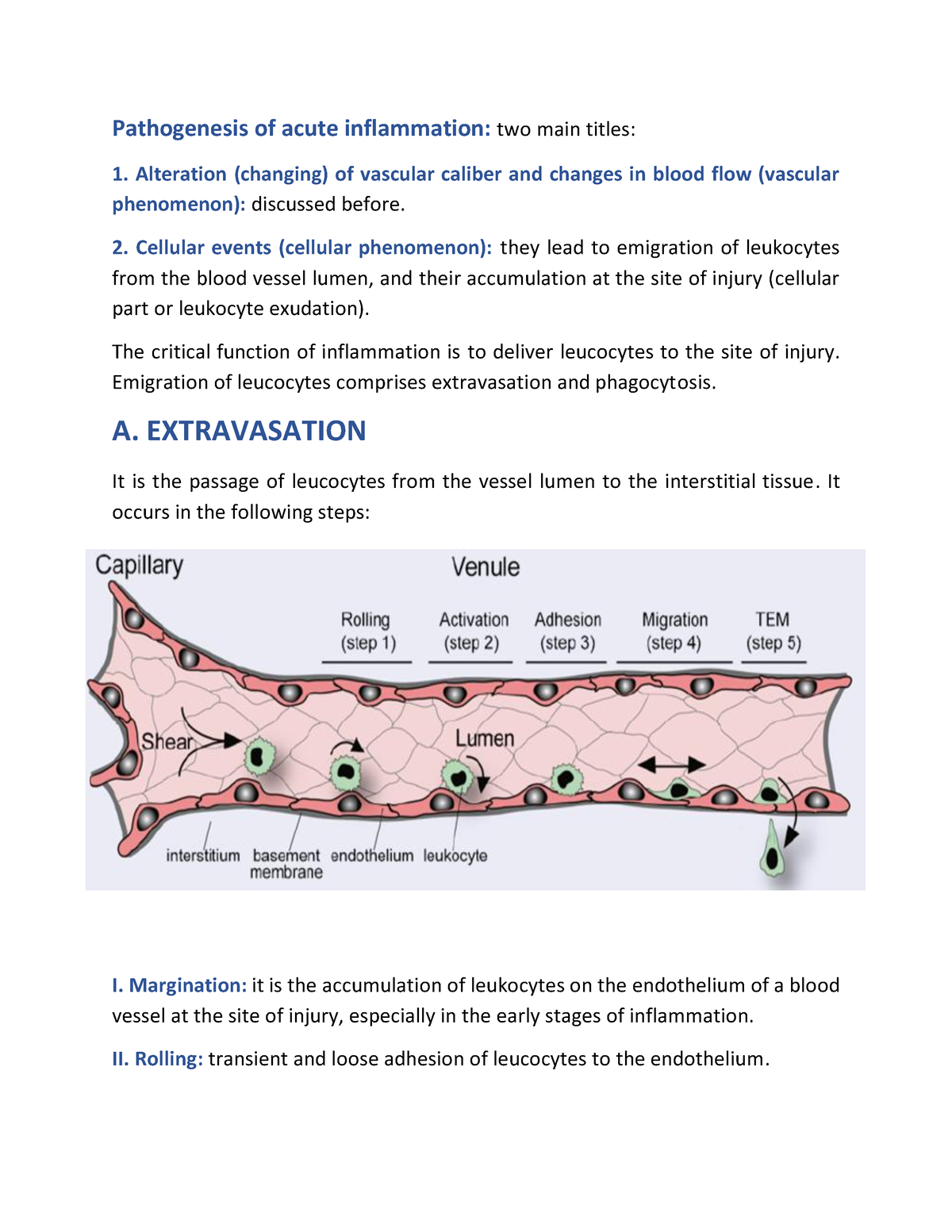 acute-inflammation-cellular-events-part-1-pathogenesis-of-acute