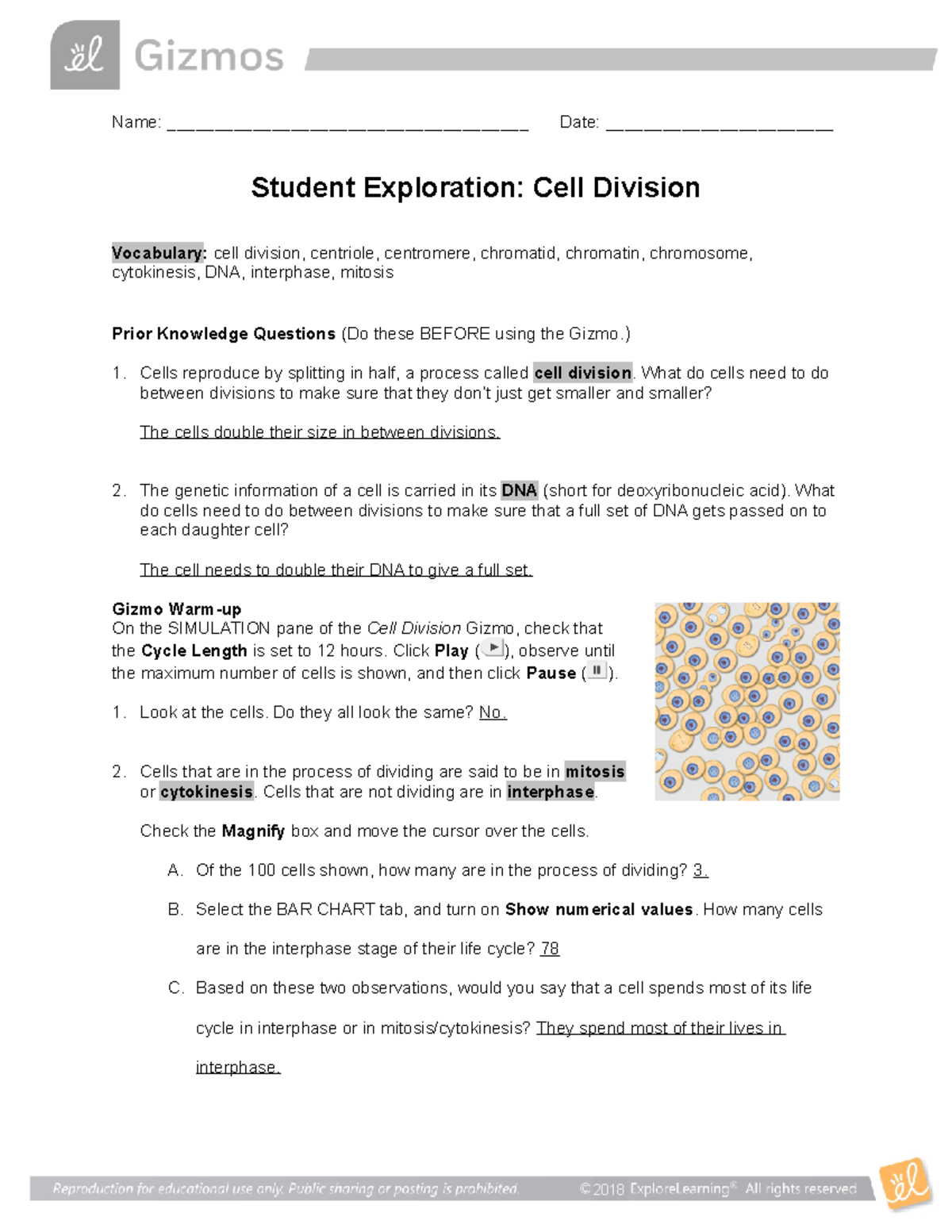 Cell Division SE - The article for a marine magezine. - Name