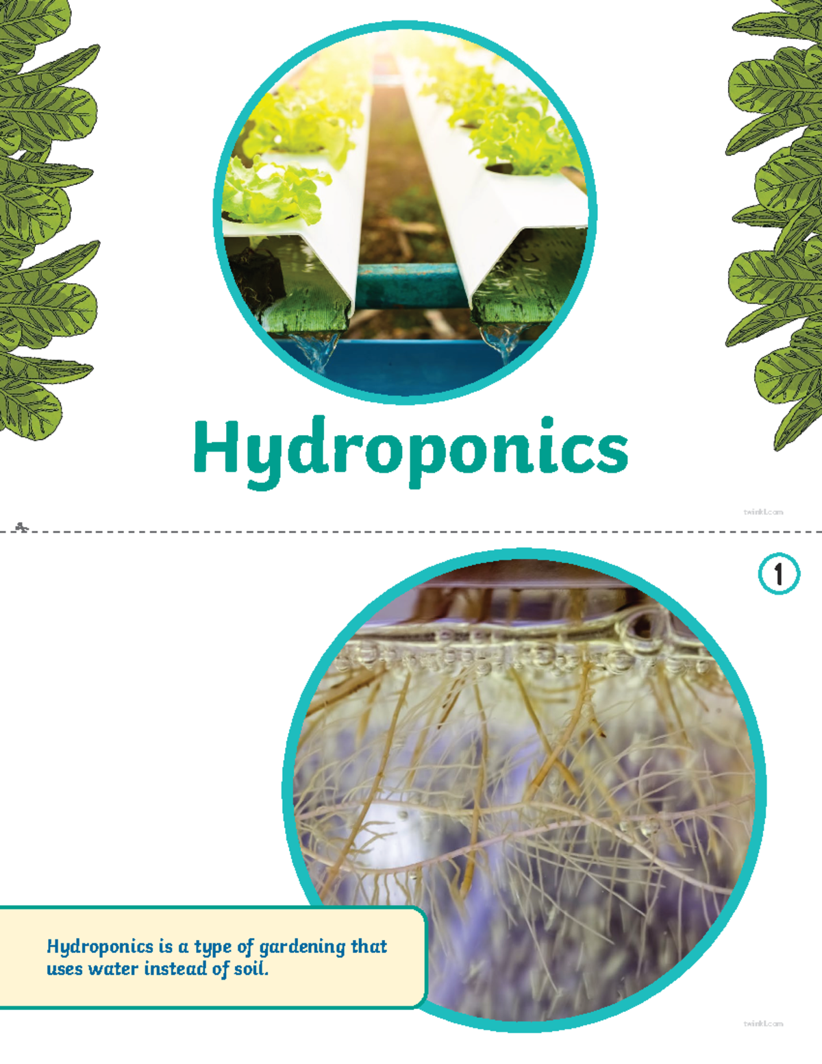 Fourth-grade-hydroponics-printable-book-us-s-1677499284 ver 1 - twinkl ...