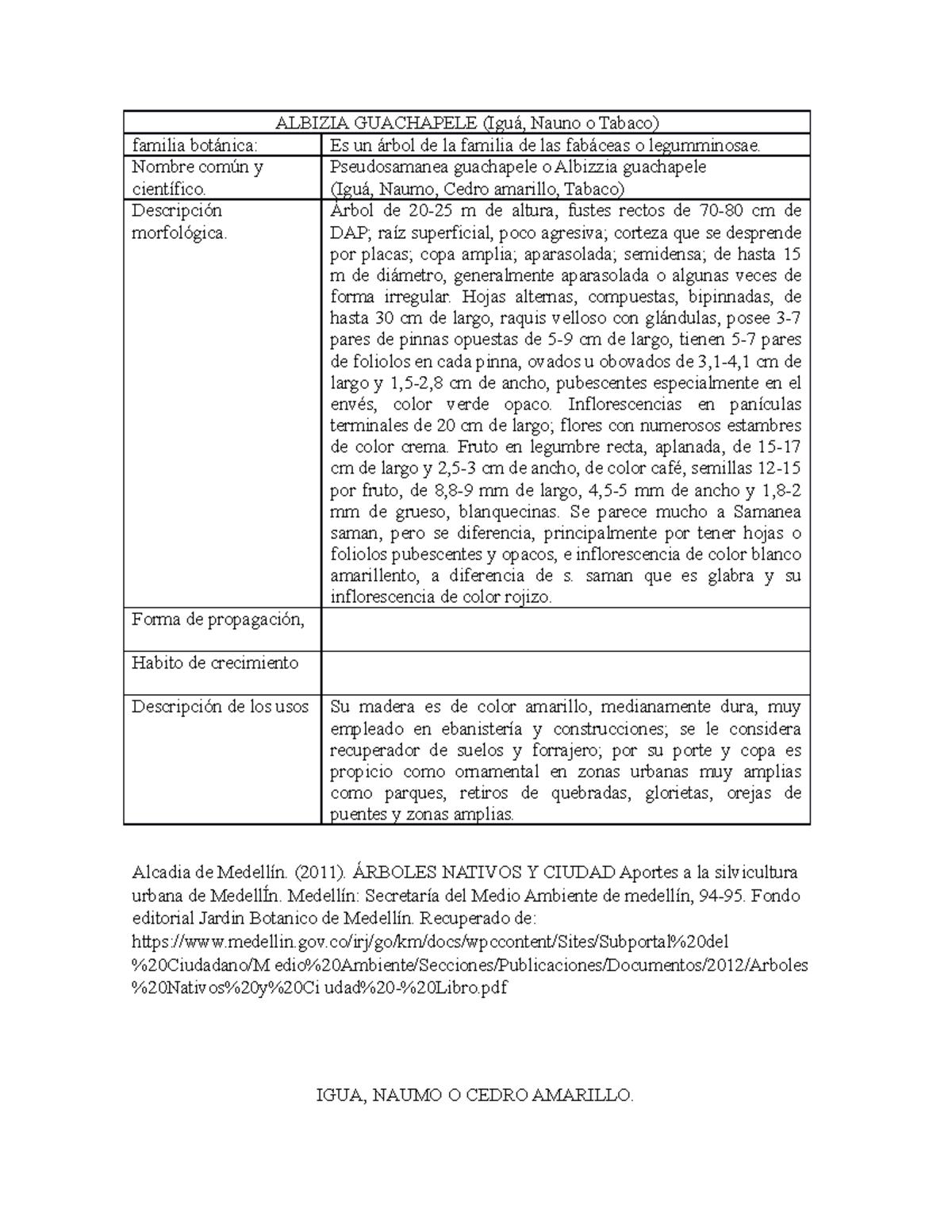 Guachapele GUACHAPELE (Iguá, Nauno o Tabaco) familia
