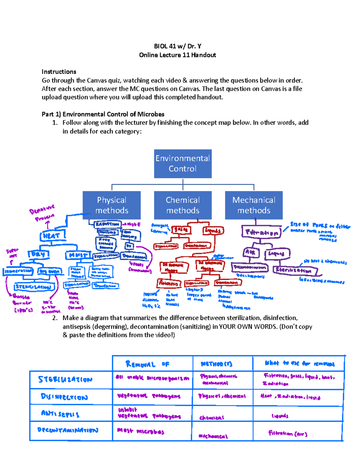 Online+Lecture+11+Handout - BIOL 41 w/ Dr. Y Online Lecture 11 Handout ...