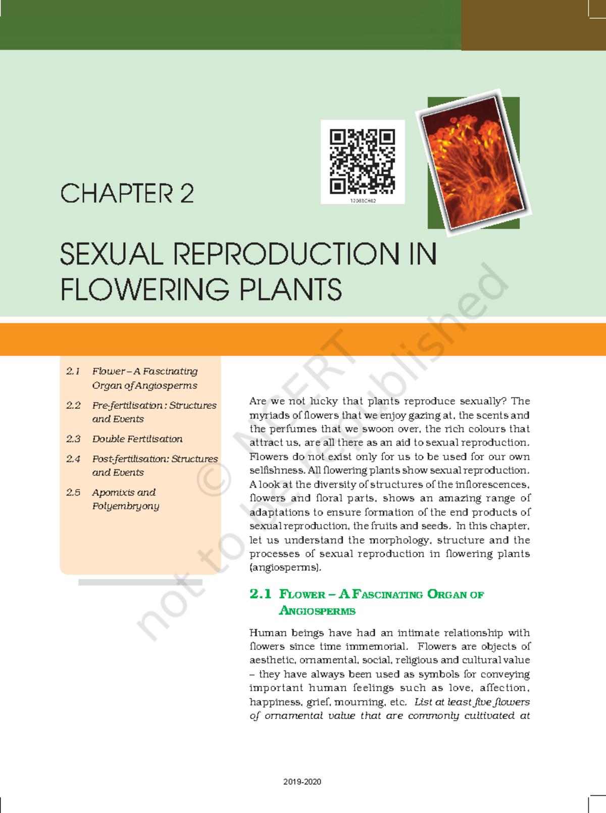 Ch 2 Sexual Reproduction In Flowering Plants Are we not lucky that