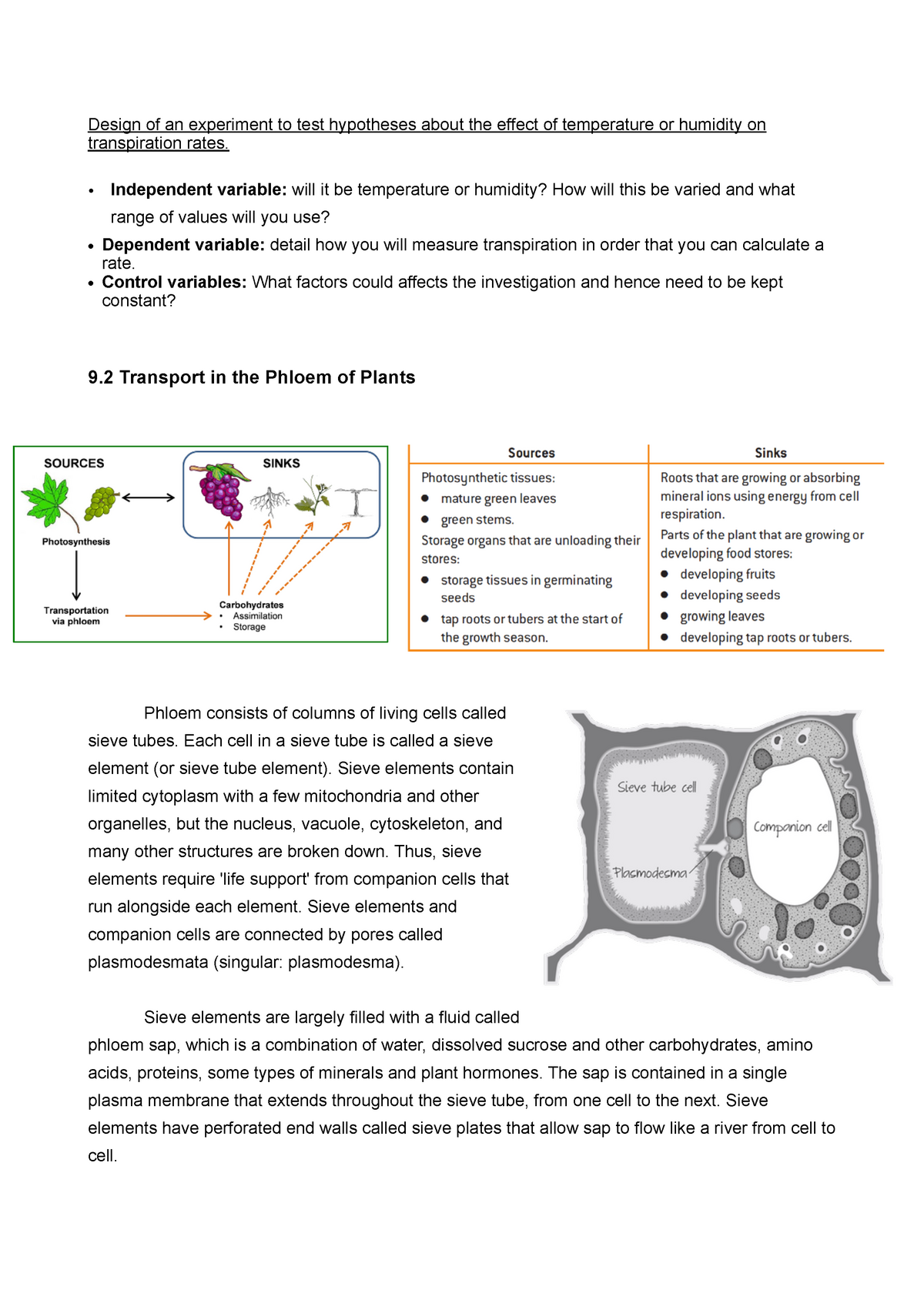 phloem translocation experiments answers