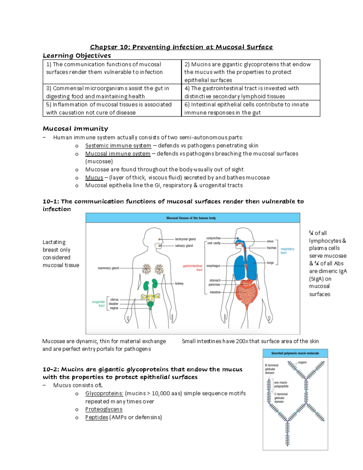 Chapter 10 - Notes - Chapter 10: Preventing Infection at Mucosal ...