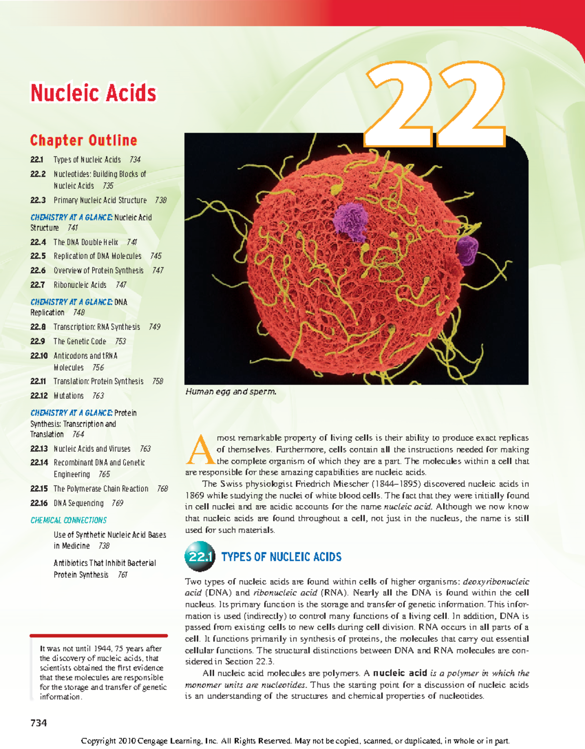 5 Nucleic Acids Furthermore, cells contain all the instructions