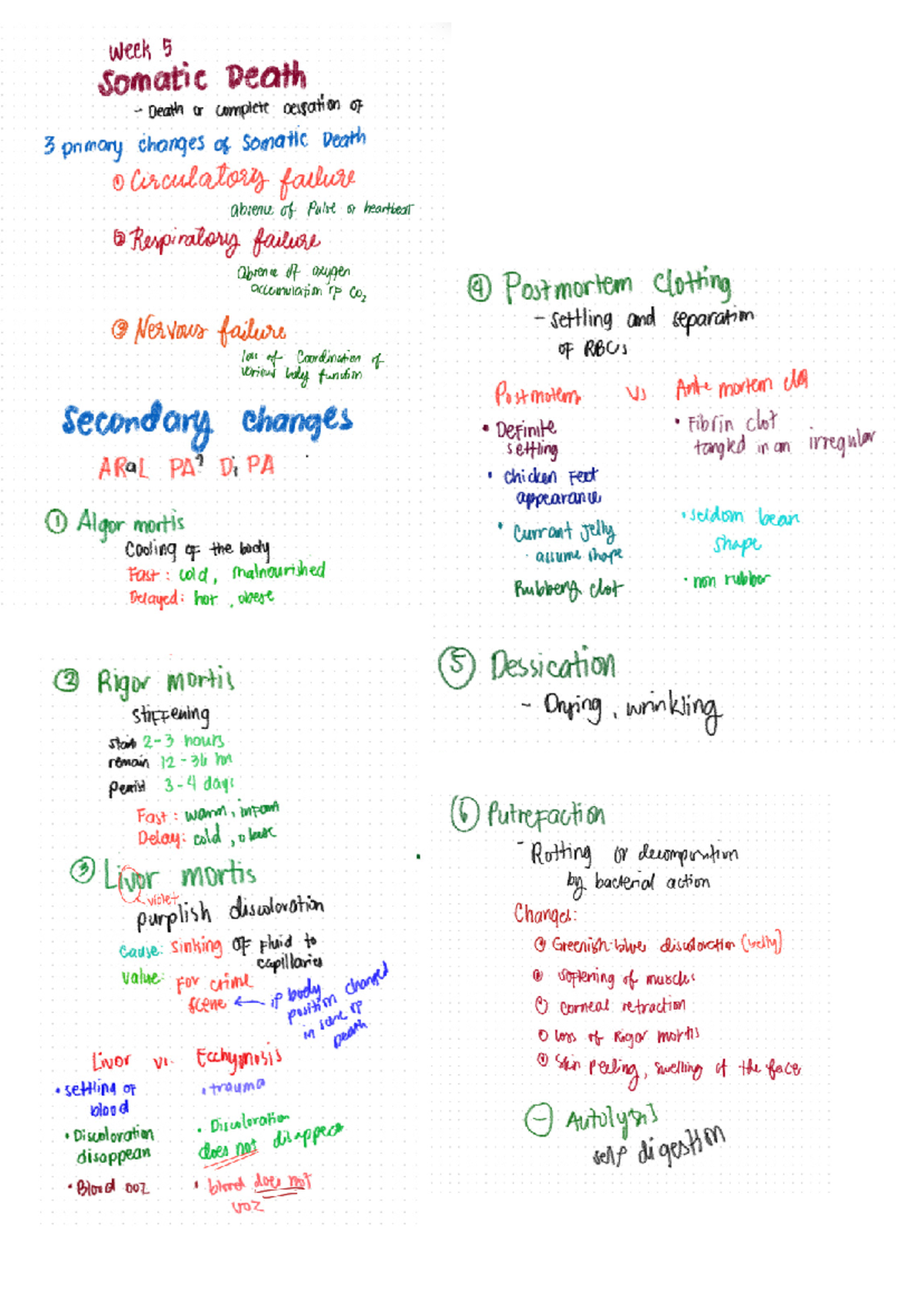 Untitled design - Lecture notes ' - week 5 somatic Death Death or ...