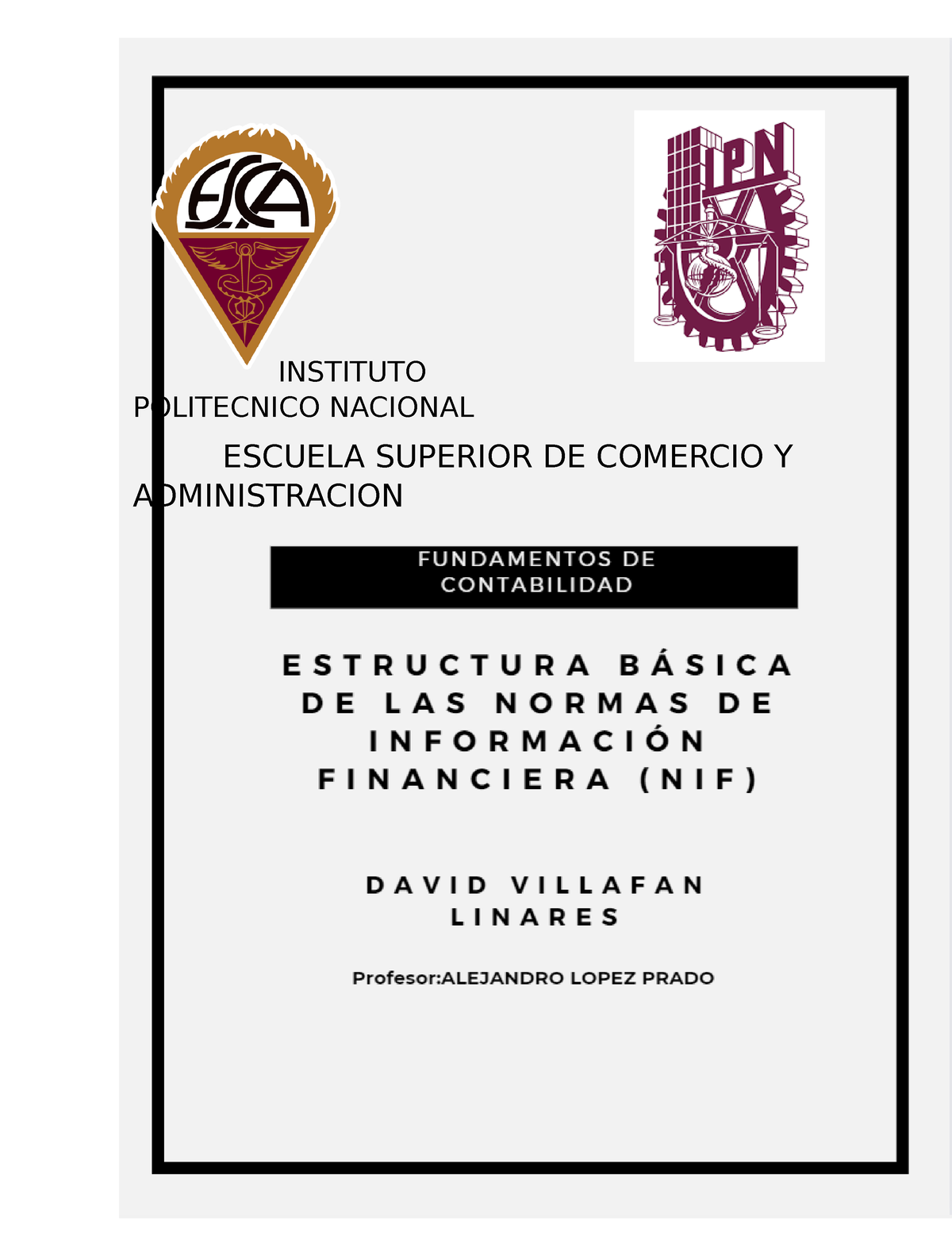 Estructura Basica De Las Normas De Informacion Financiera NIF ...