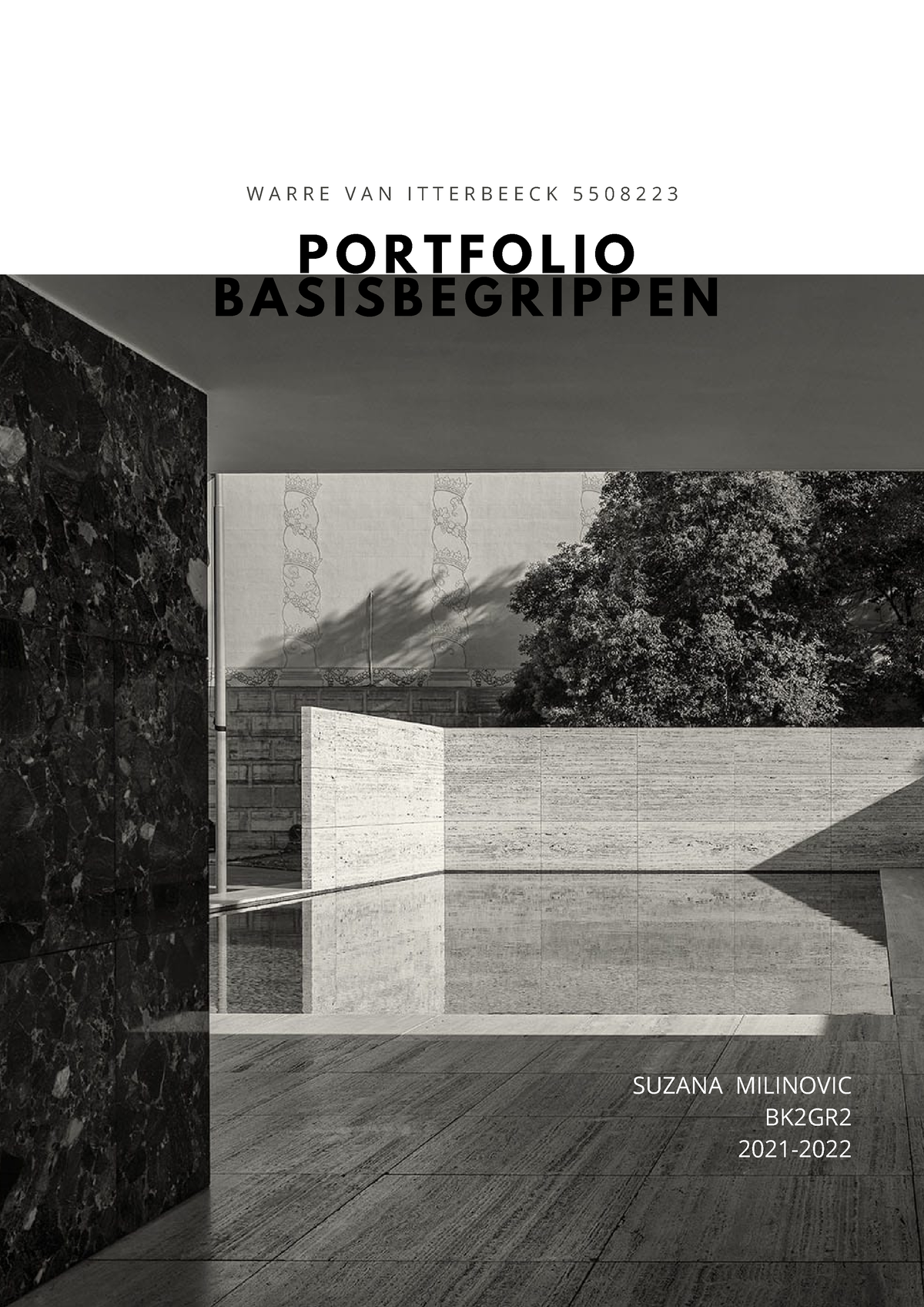 Portfolio Basisbegrippen Van Itterbeeck 5508223 Milinovic - PORTFOLIO ...