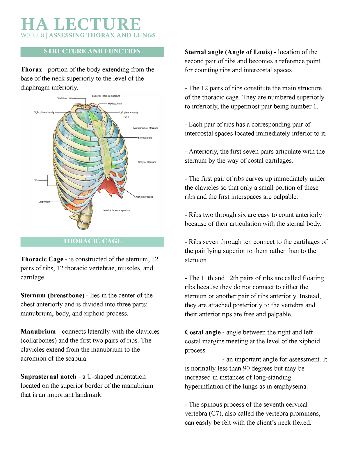 HA LEC - Assessment of Thorax and Lungs - WEEK 8 | ASSESSING THORAX AND ...