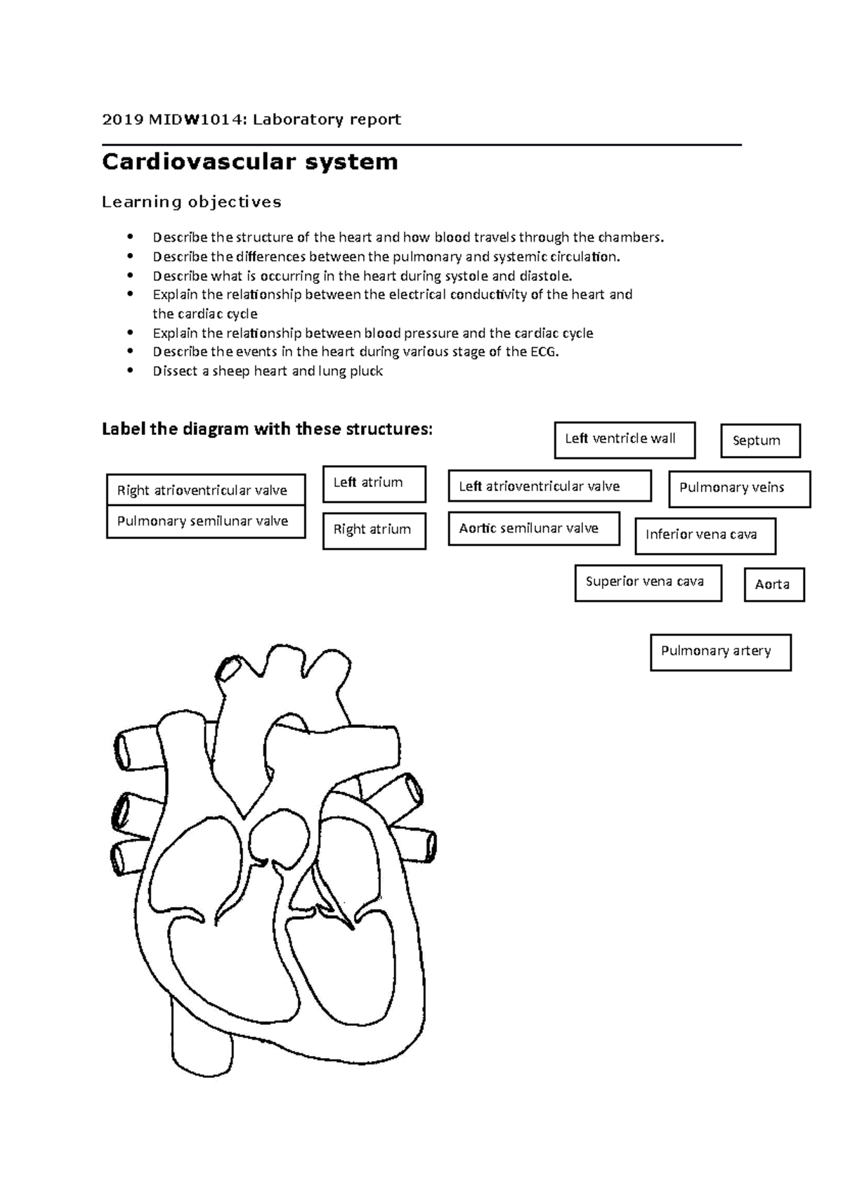 MIDW1014 cardiovascular system - 2019 MIDW1014: Laboratory report ...