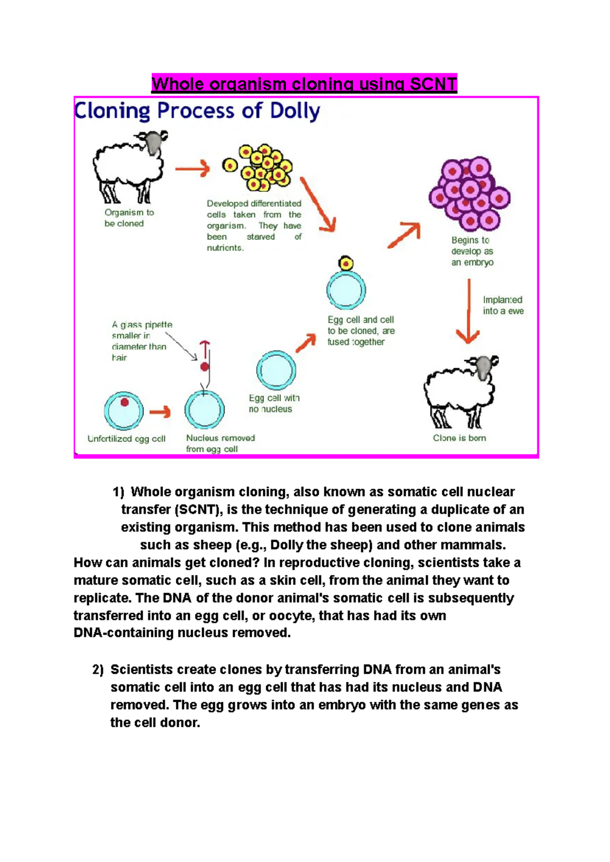 SCNT - this is about cloning SCNT - Whole organism cloning using SCNT ...