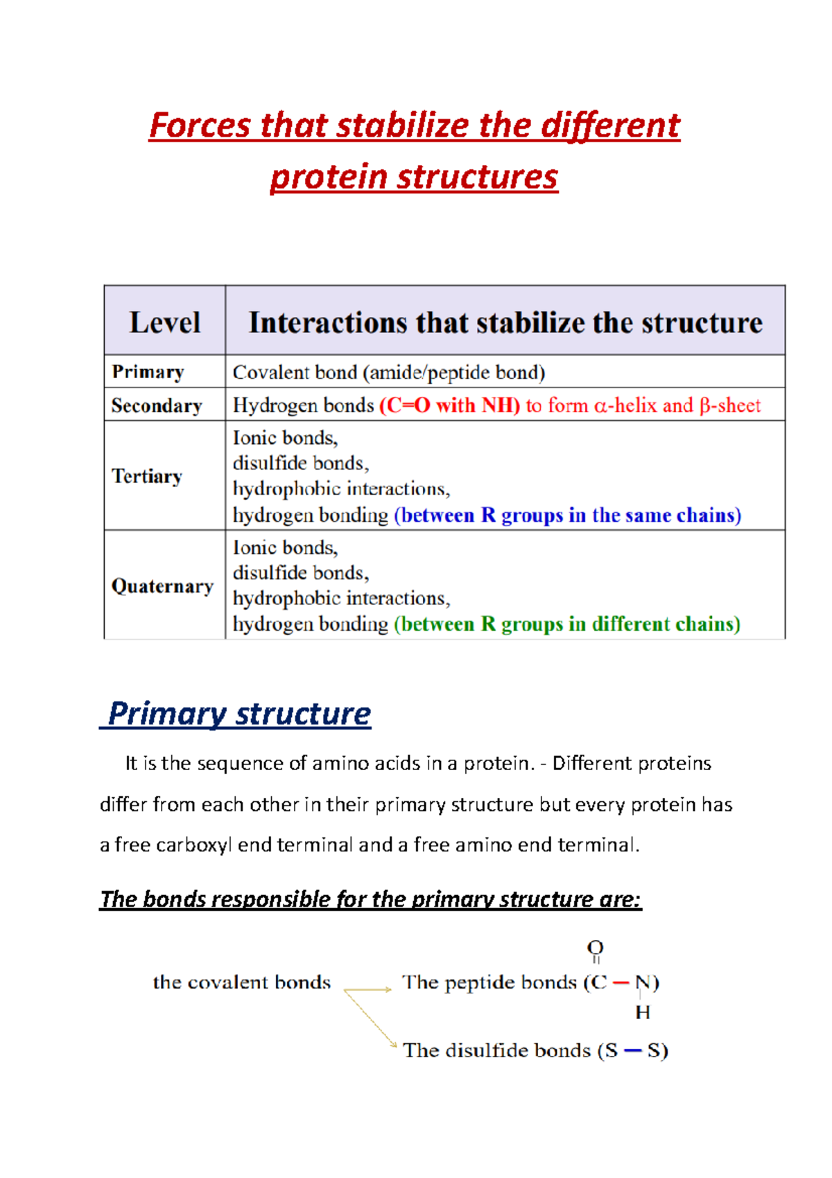 Forces that stabilize the different Forces that stabilize the