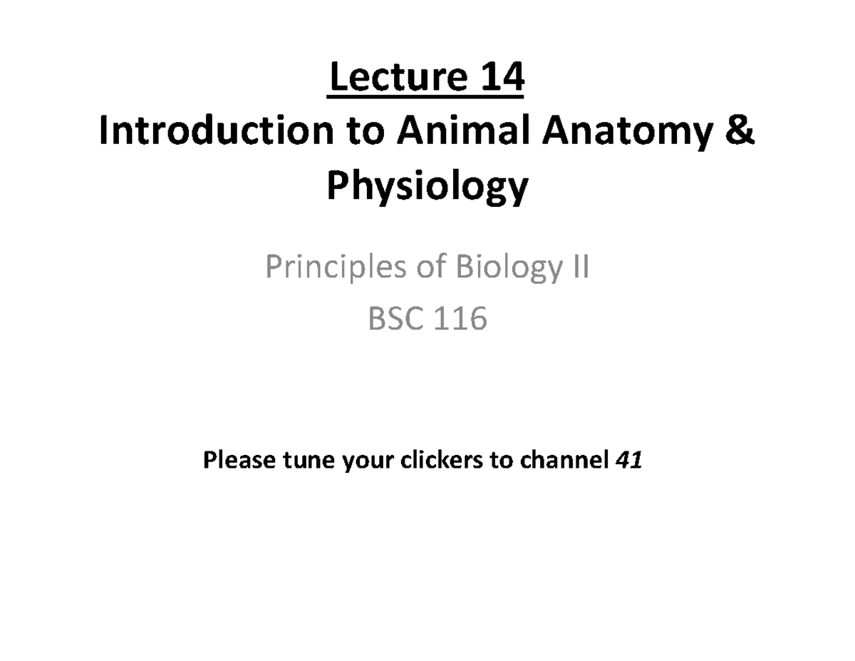 Lecture 14 - Lecture 14 Introduction To Animal Anatomy & Physiology ...