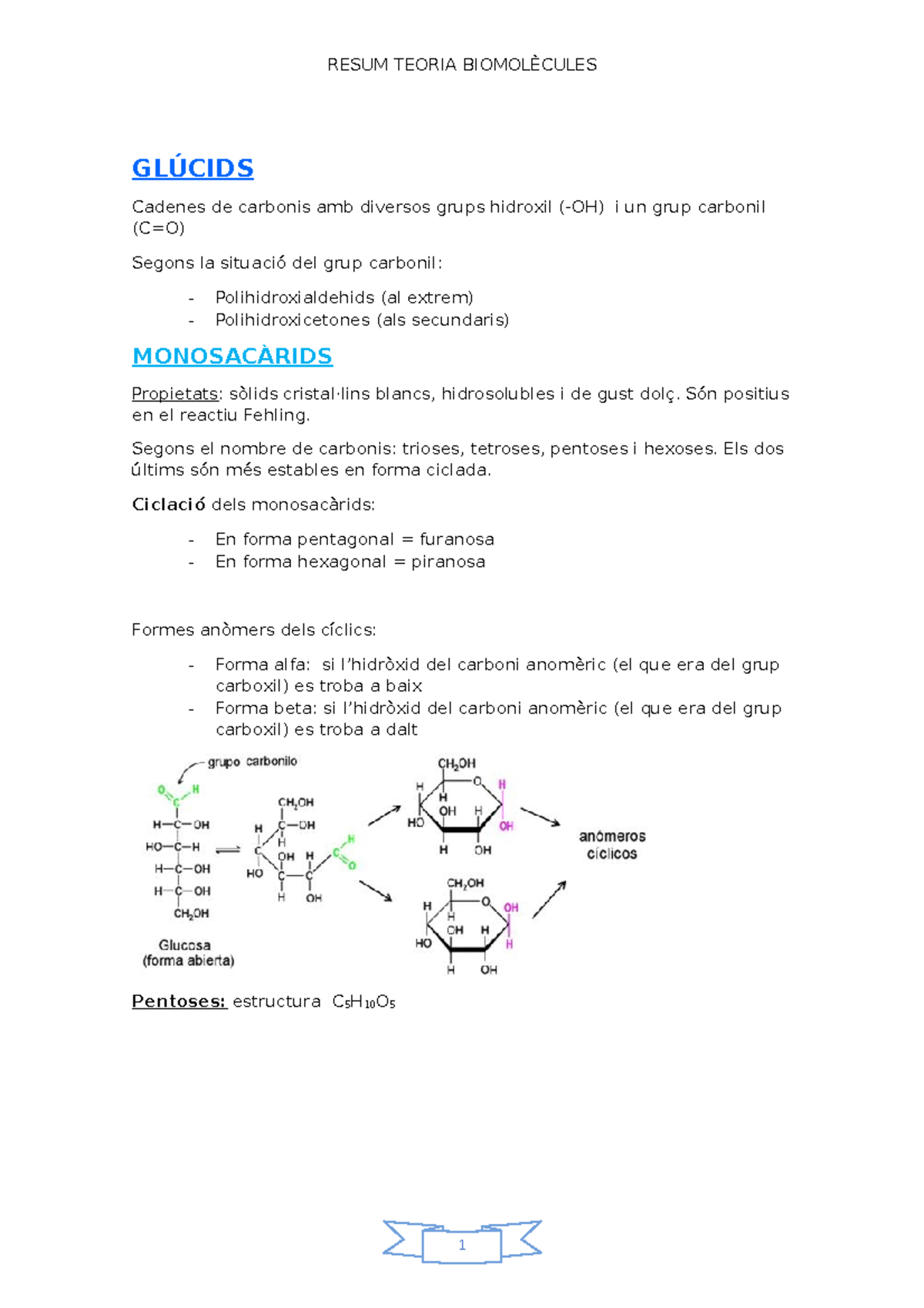 Resum Teoria Biomolecules - GLÚCIDS Cadenes de carbonis amb diversos ...