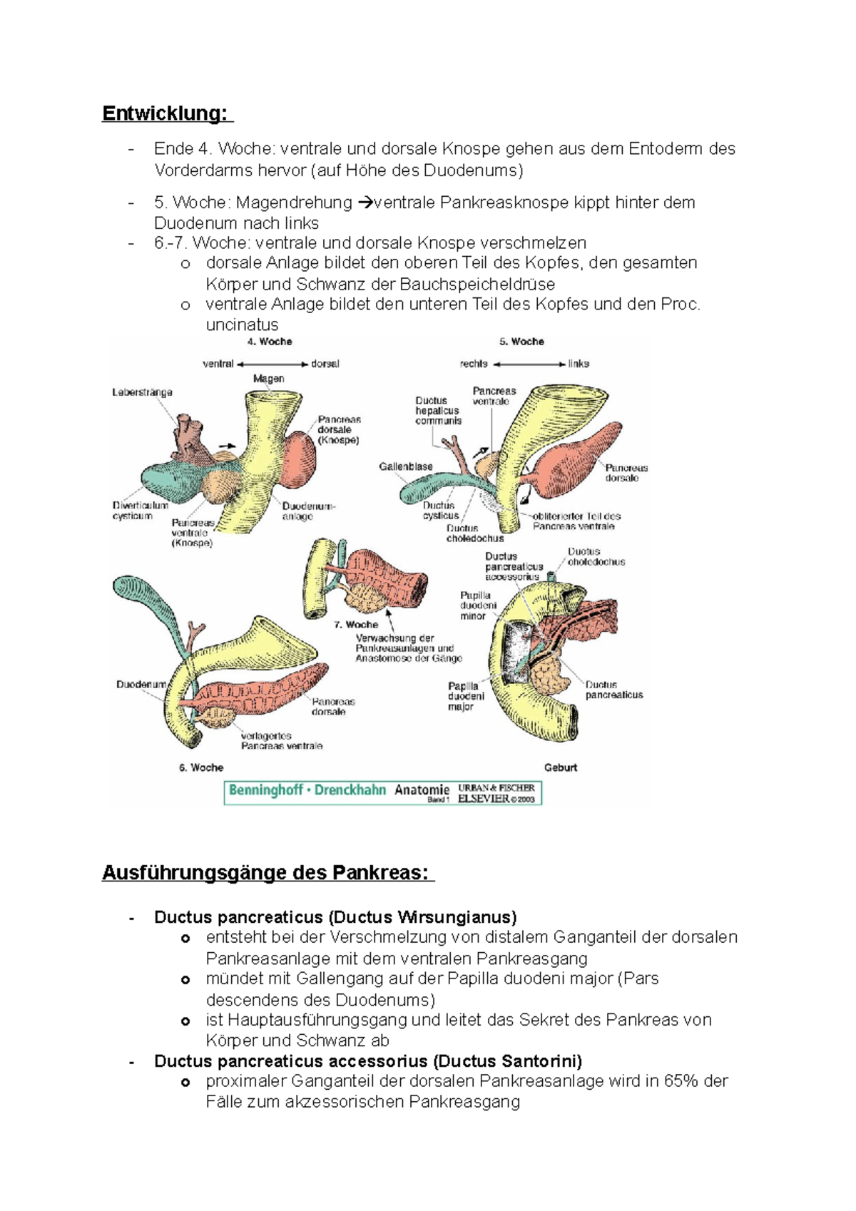 ringförmige Bauchspeicheldrüse