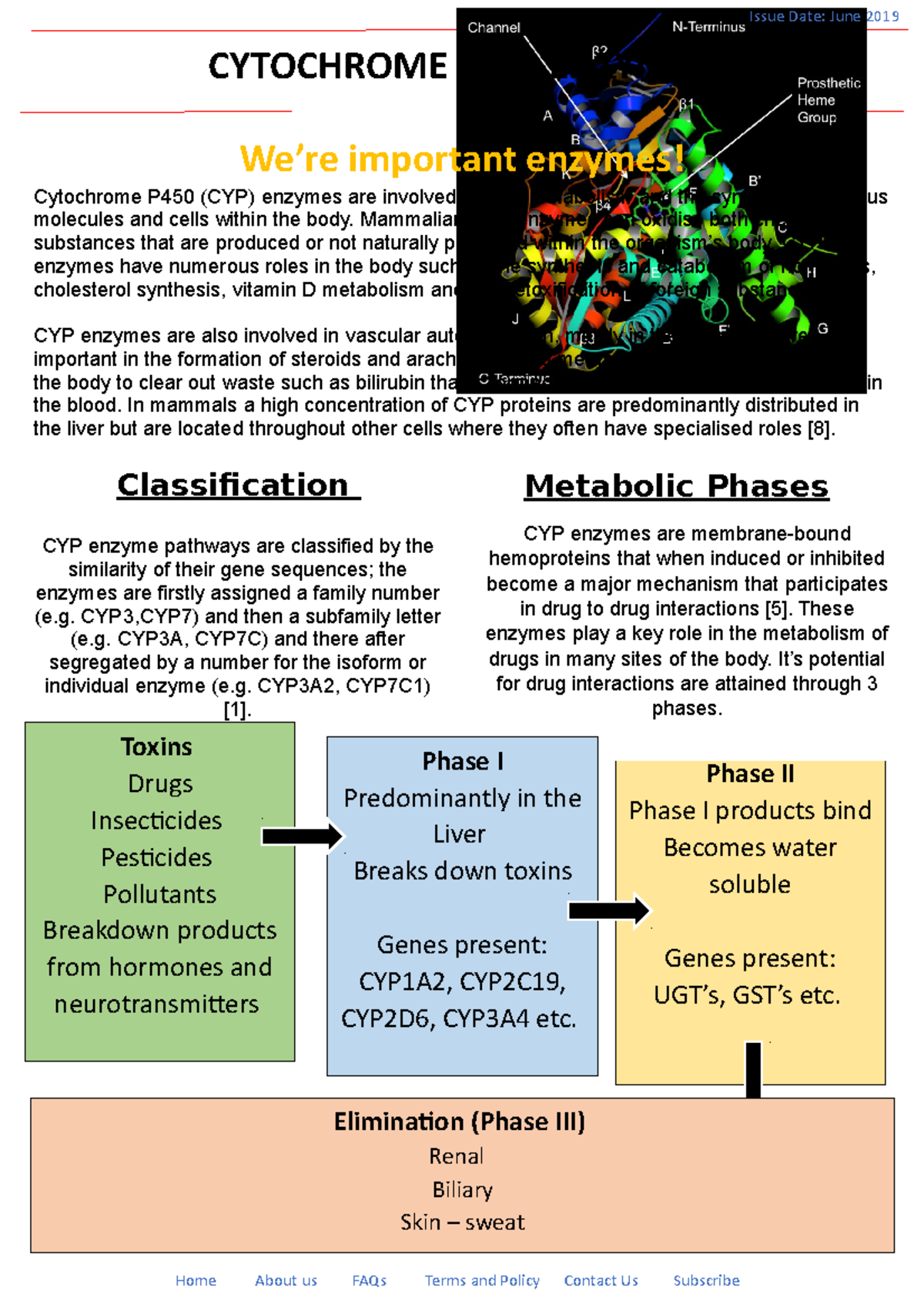 Pharmacology Blog - Distinction - CYTOCHROME P450 ENZYMES Issue Date ...