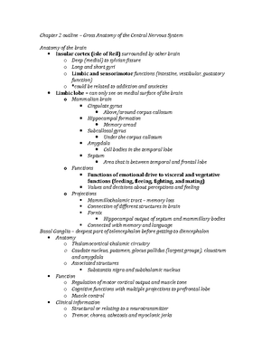 Understanding Dysphagia: Causes Phases and Treatment - Studocu